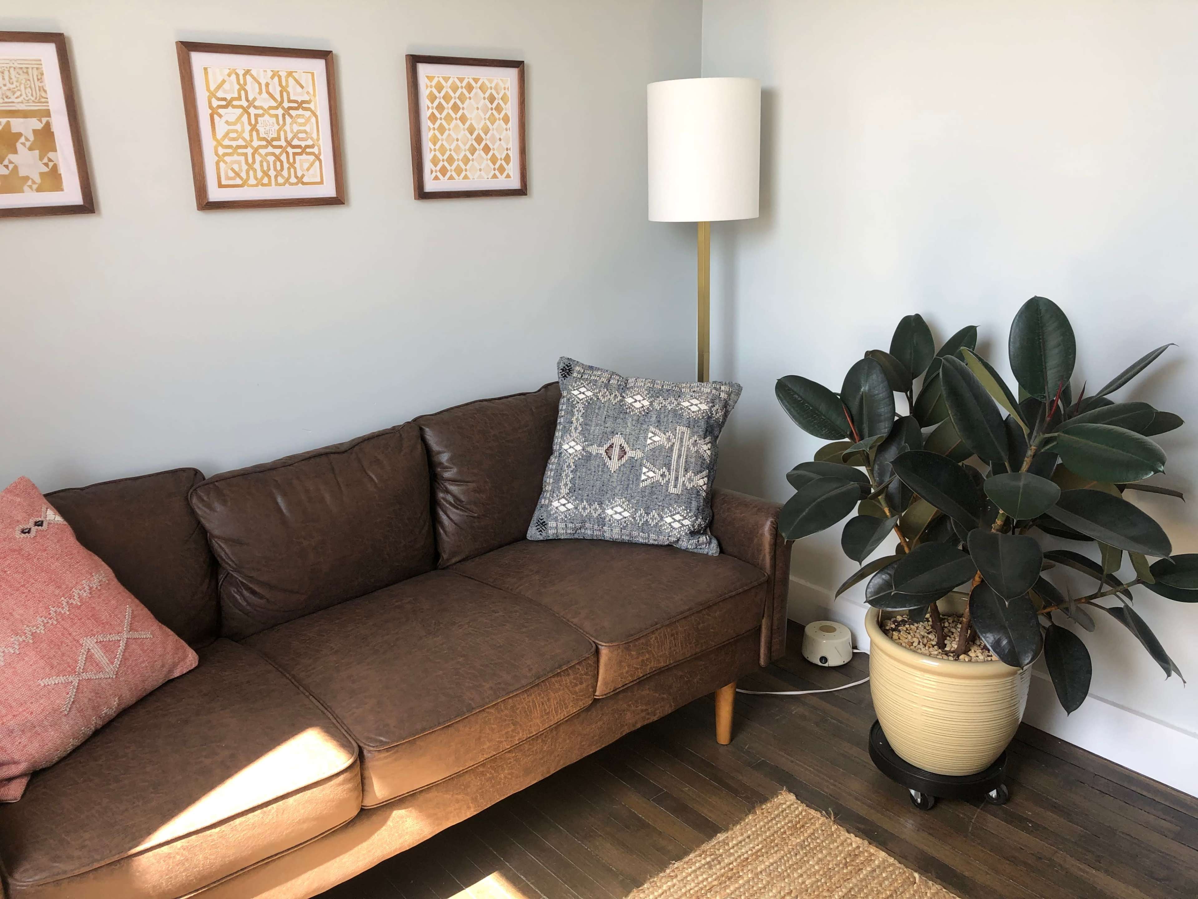 A brown couch with decorative pillows is positioned next to a large potted plant in a well-lit room with framed artwork on the wall.