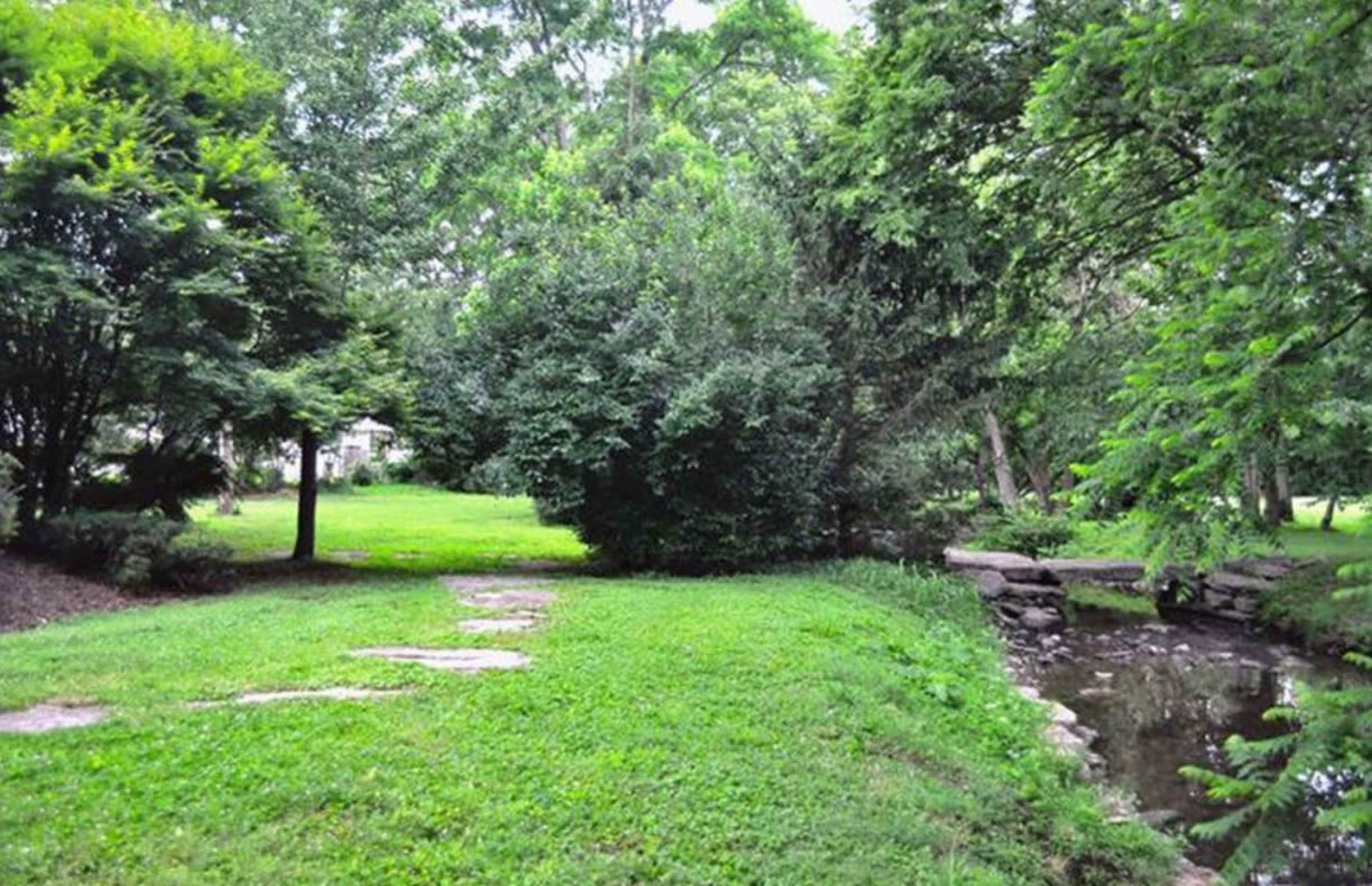 A grassy area with stepping stones and a small stream is surrounded by dense trees and shrubs.
