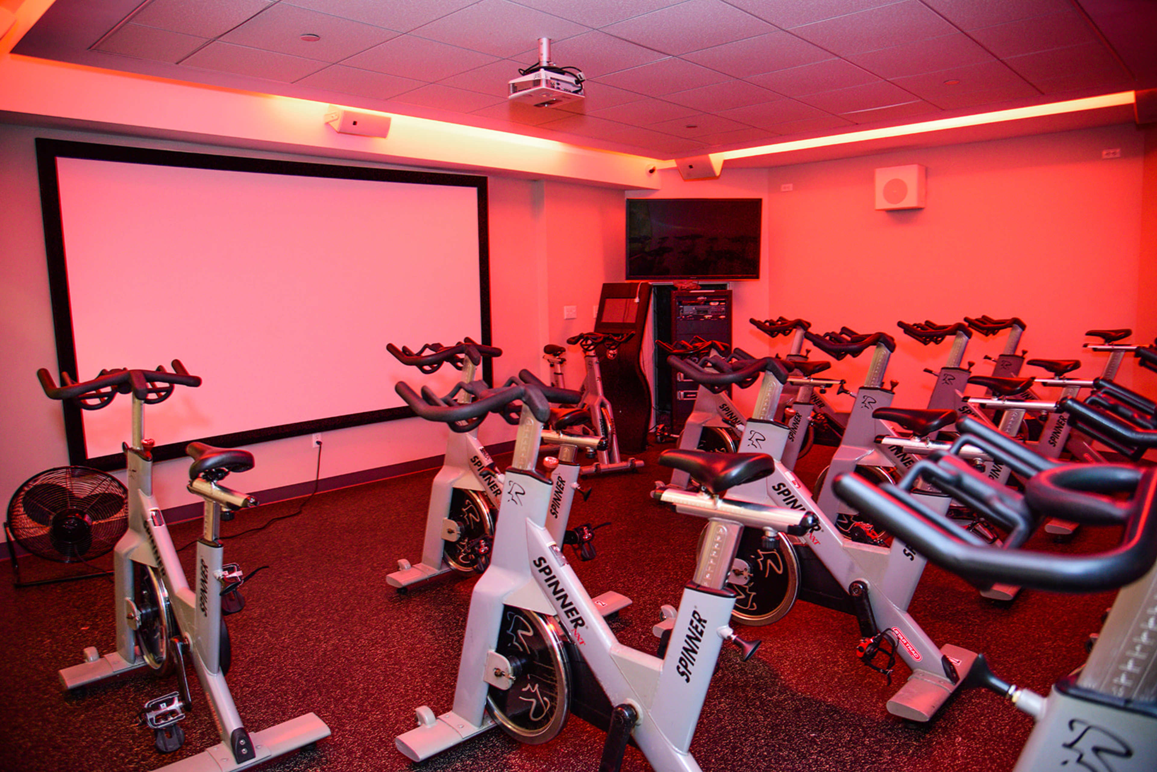 The image shows a dimly lit indoor cycling studio equipped with several stationary bikes and a large screen for projections.