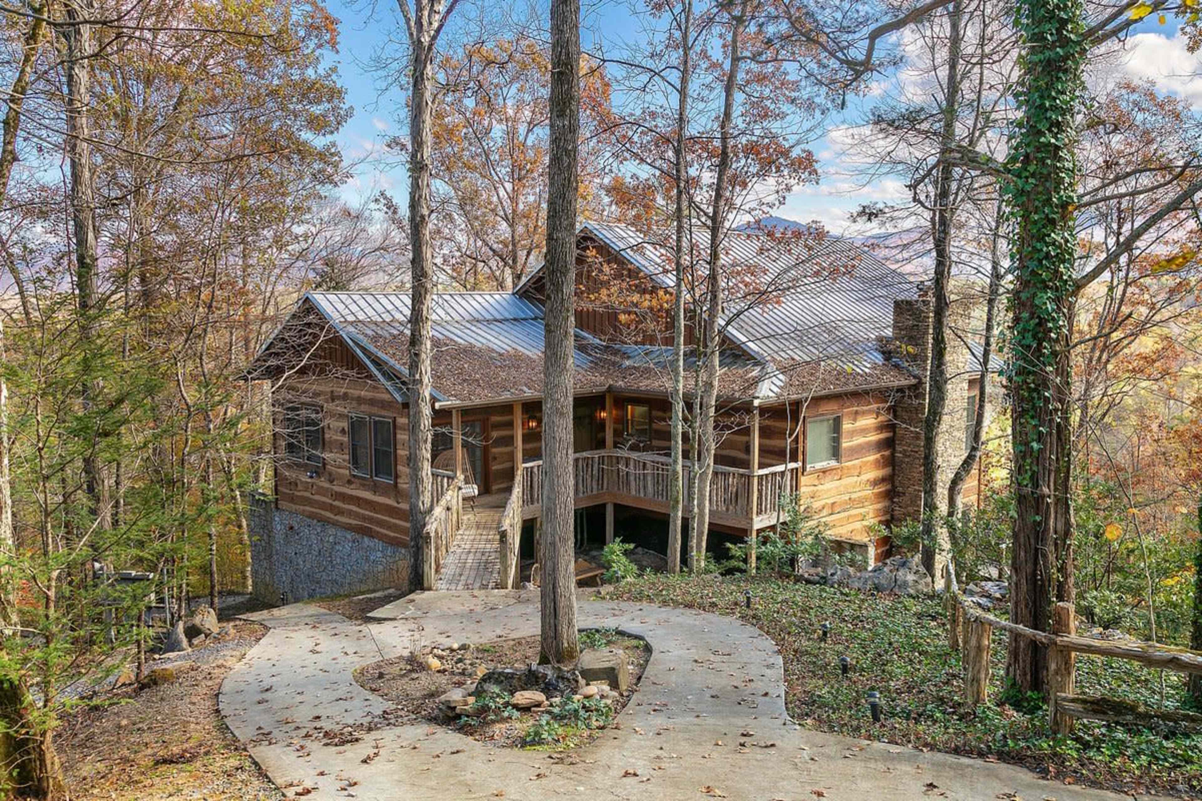 A wooden cabin with a metal roof, surrounded by trees and a winding driveway.
