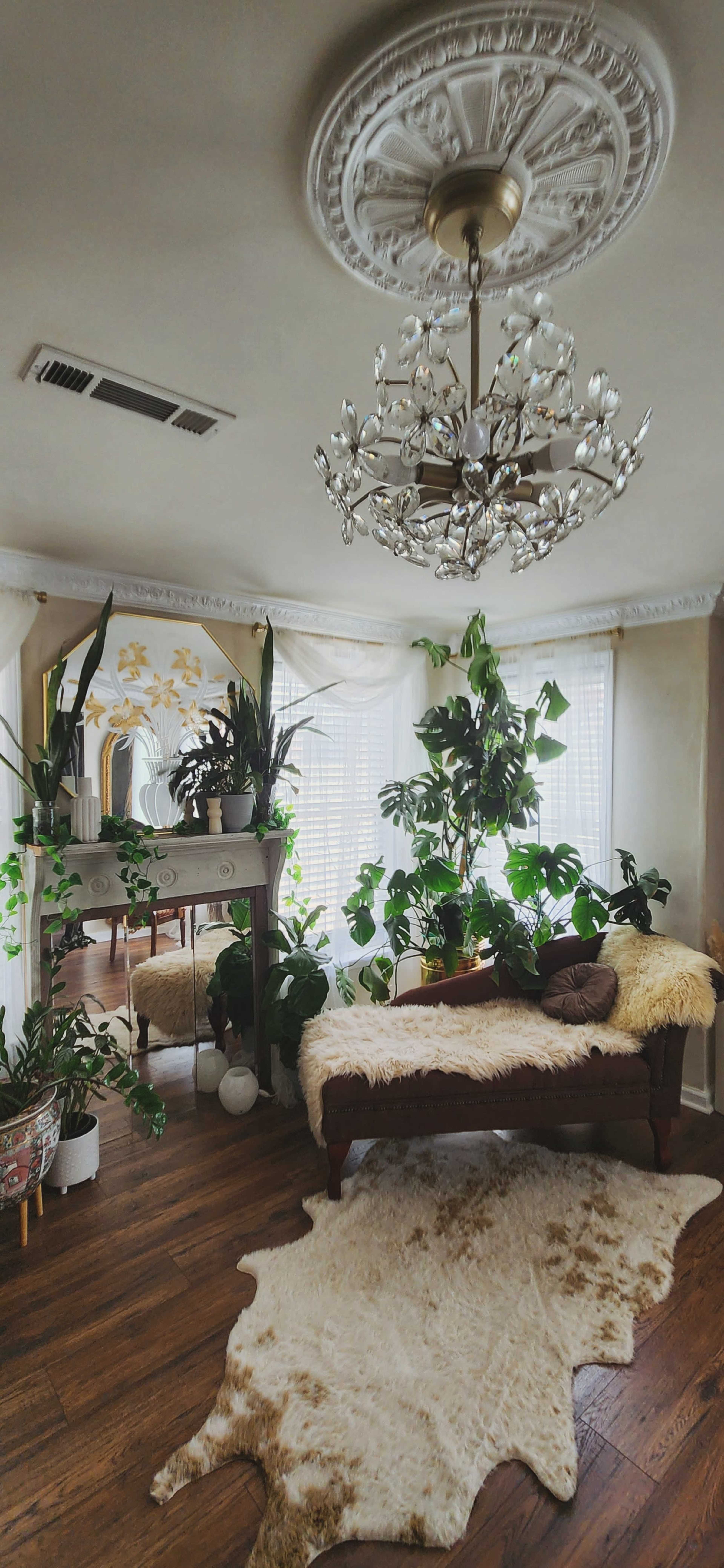 The image features a living room adorned with various indoor plants, a decorative chandelier, and a chaise lounge draped in a cozy throw.