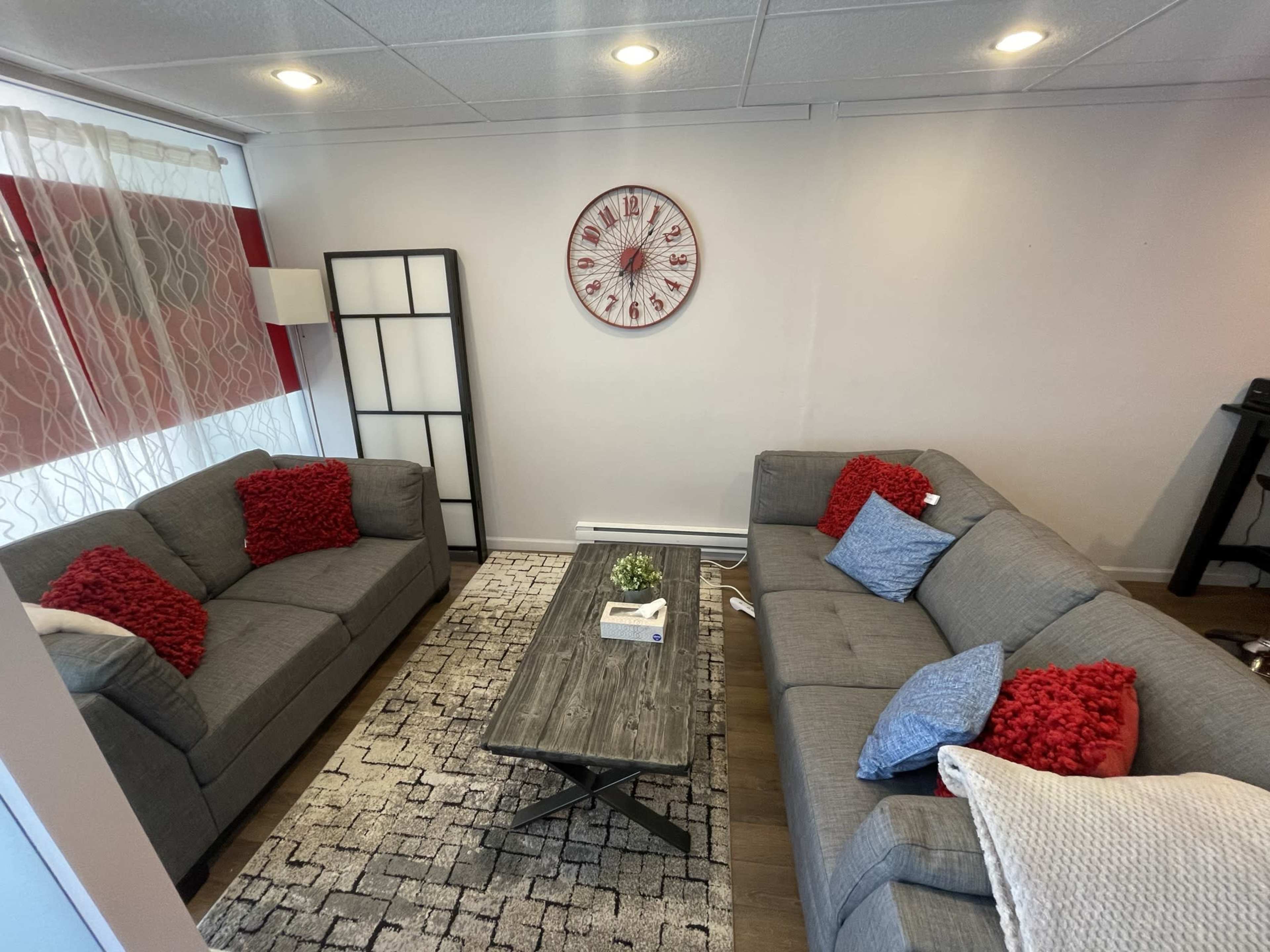 The room features two gray sofas with red and blue pillows arranged around a wooden coffee table on a patterned rug.