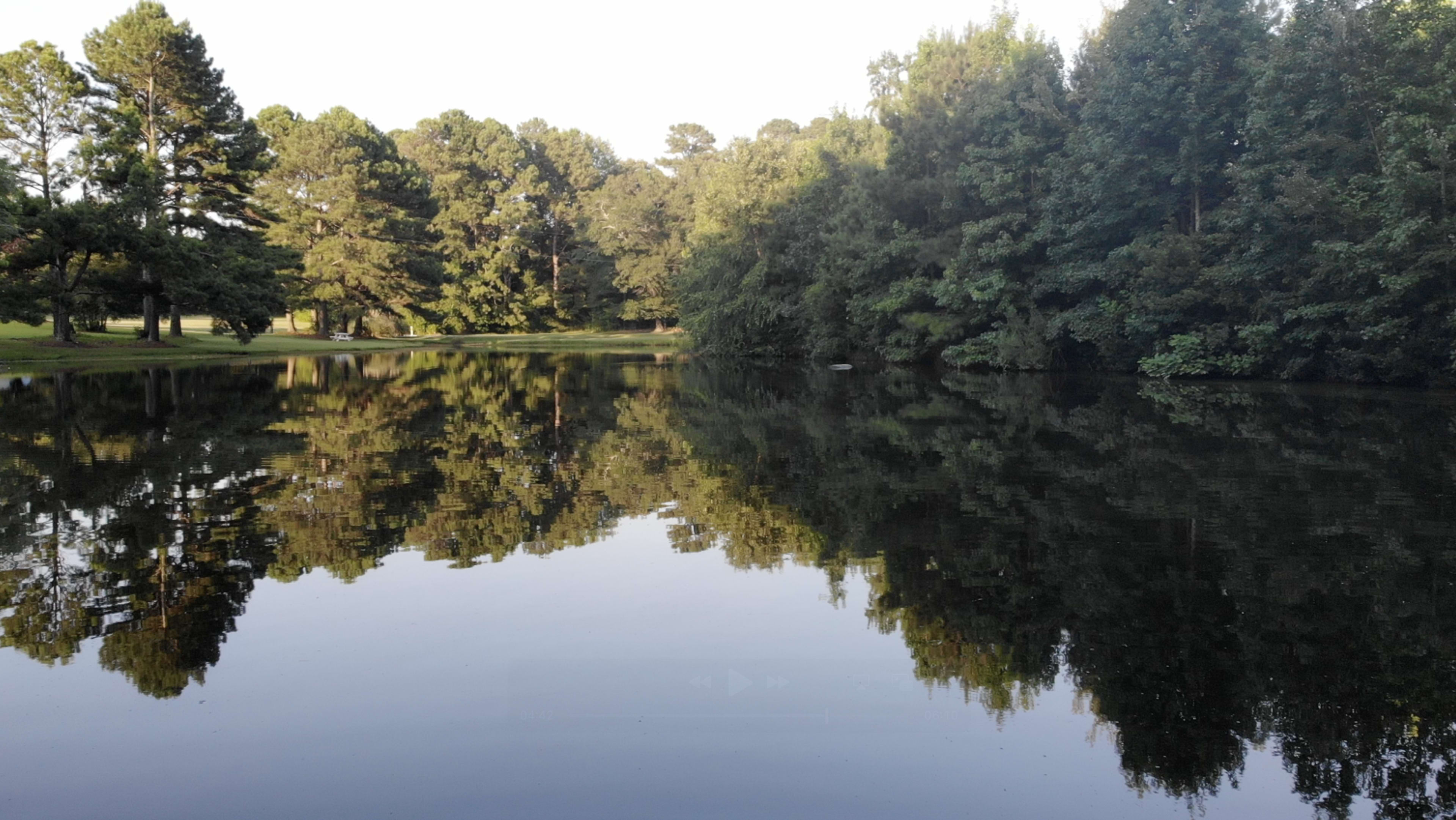 A calm lake reflects the trees and blue sky surrounding it.