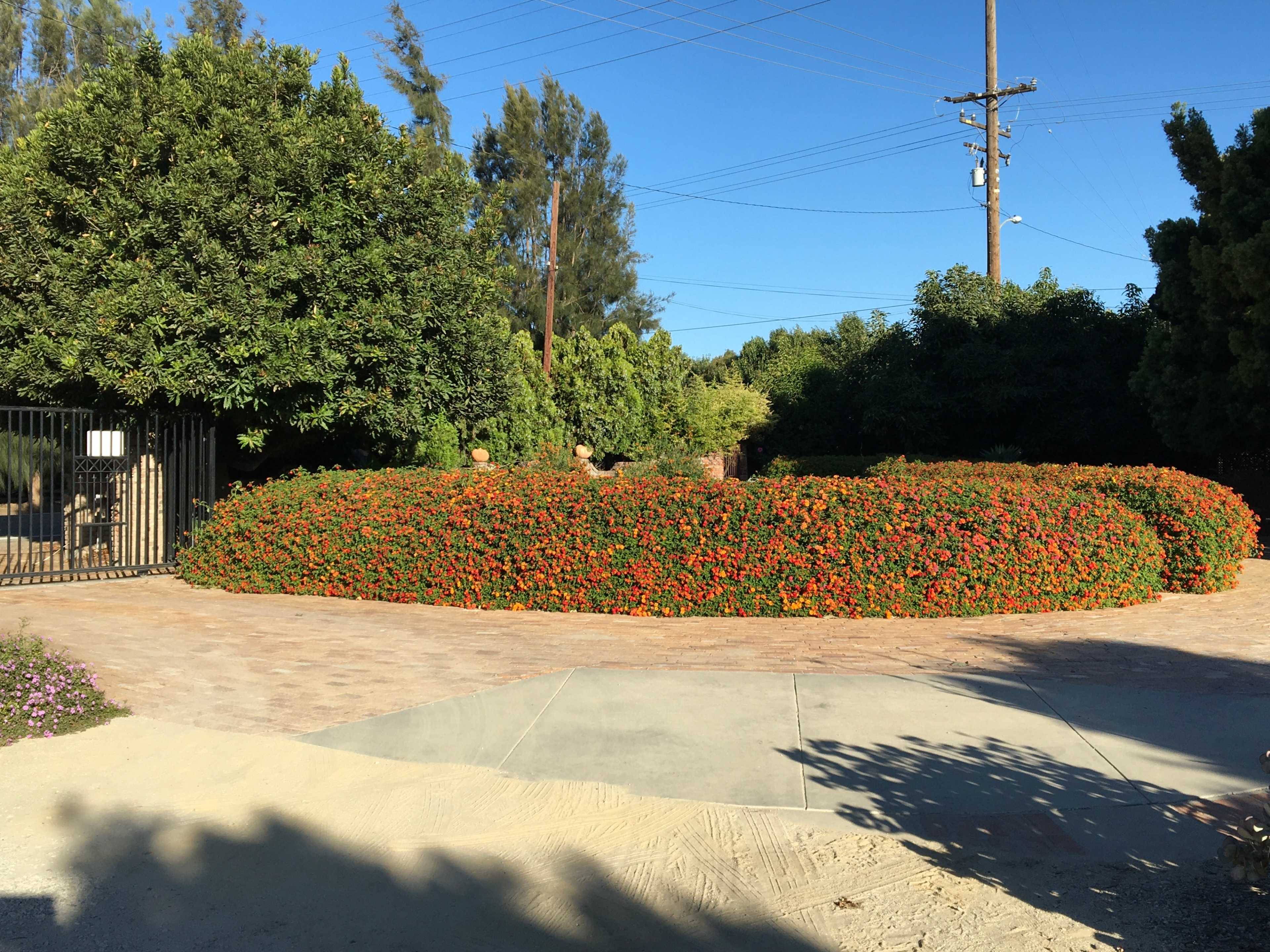 A circular garden with vibrant flowers surrounds a paved pathway leading to a gated entrance.