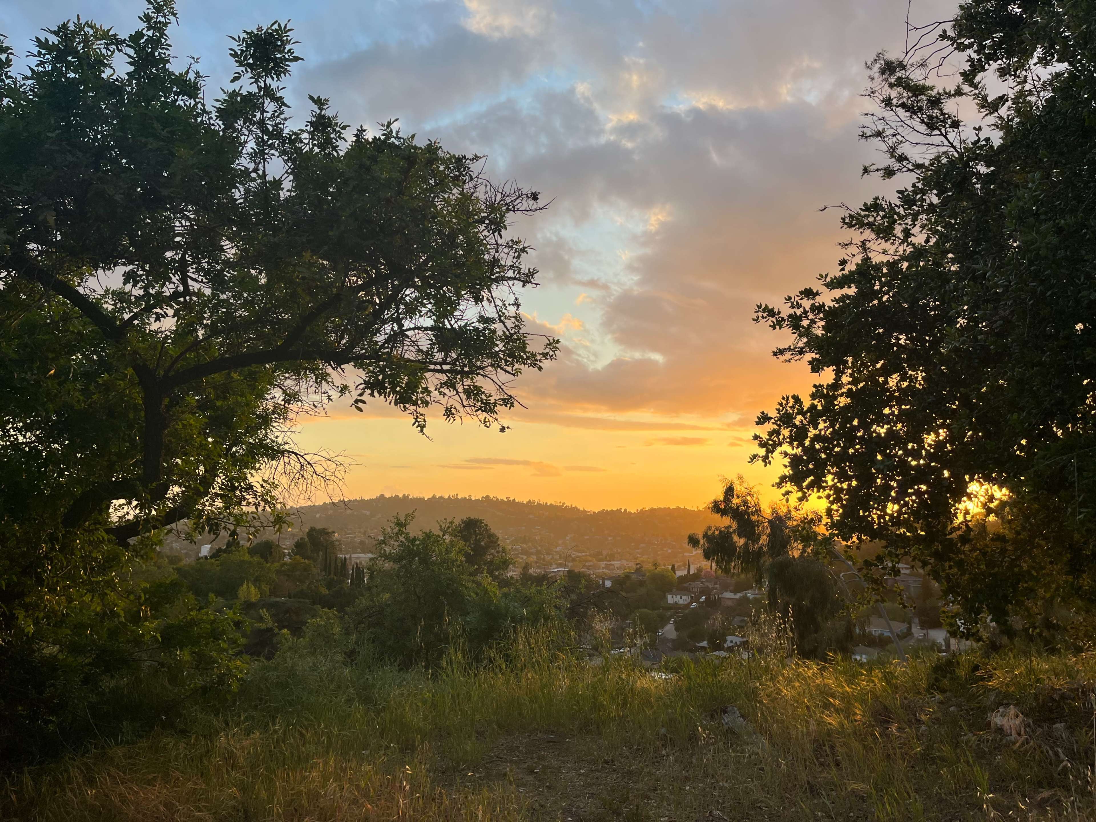 The scene captures a sunset over a valley, framed by trees on either side.
