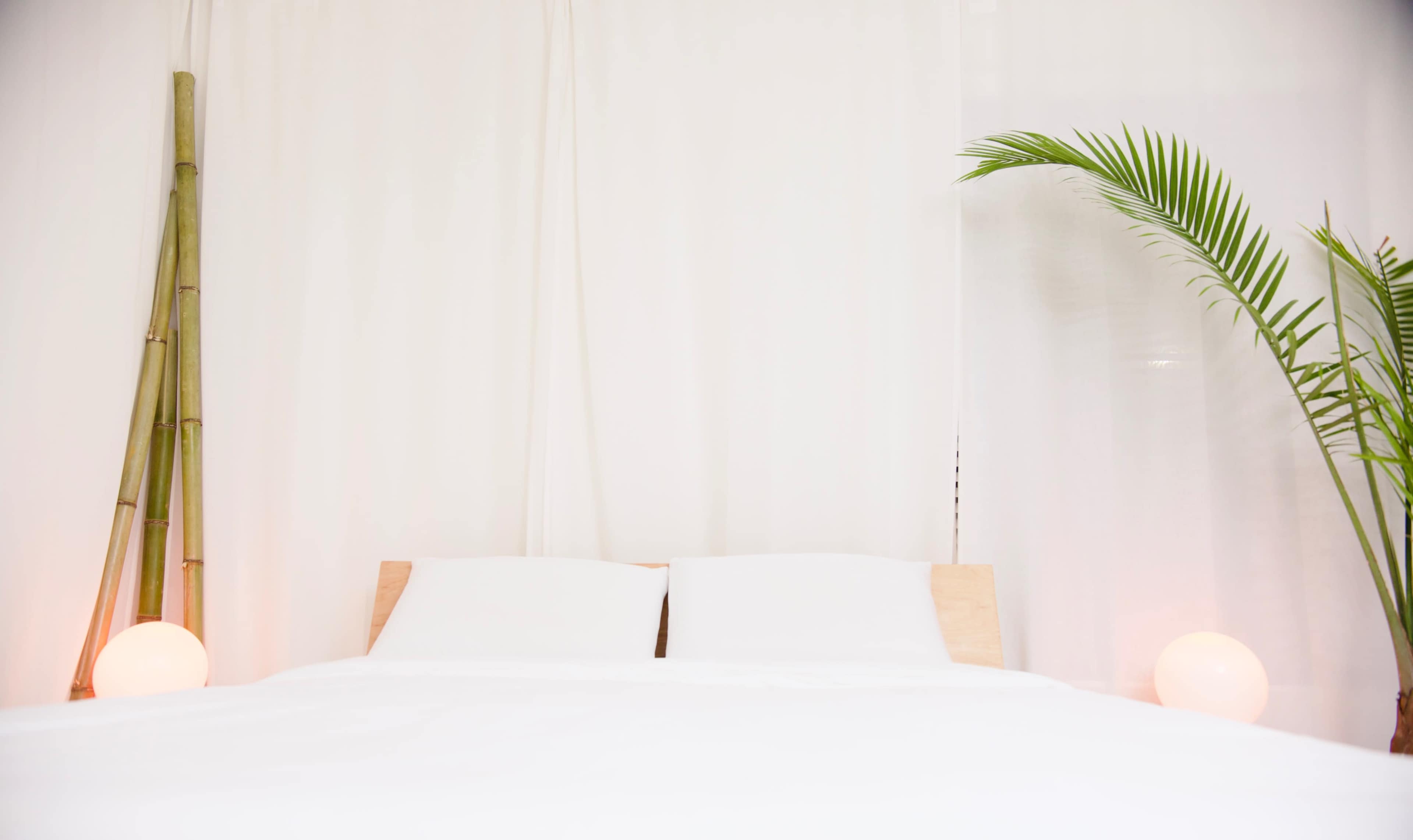 A neatly made bed with a light-colored headboard is positioned against a white backdrop, complemented by a decorative plant in the corner.