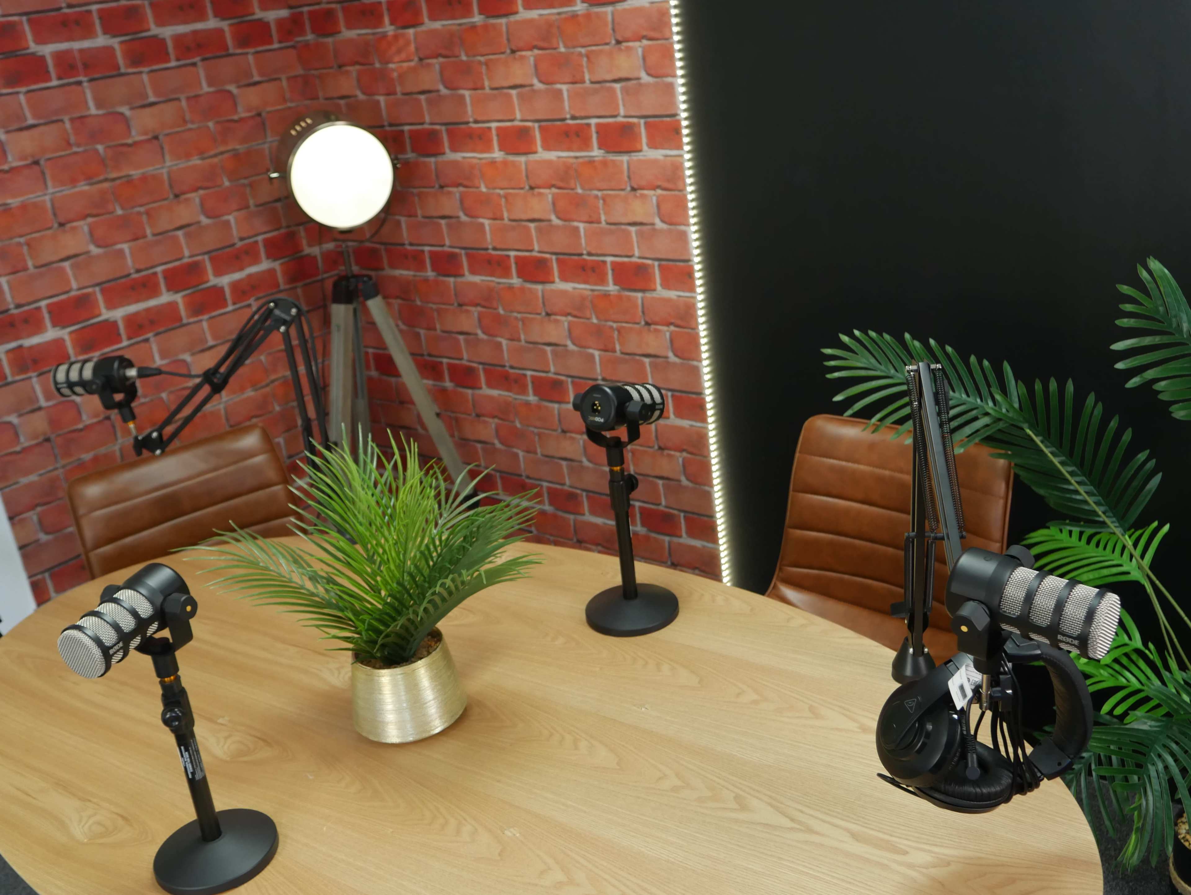 The image depicts a modern podcasting studio featuring a wooden table with microphones on stands, a small potted plant, and a brick-patterned wall.