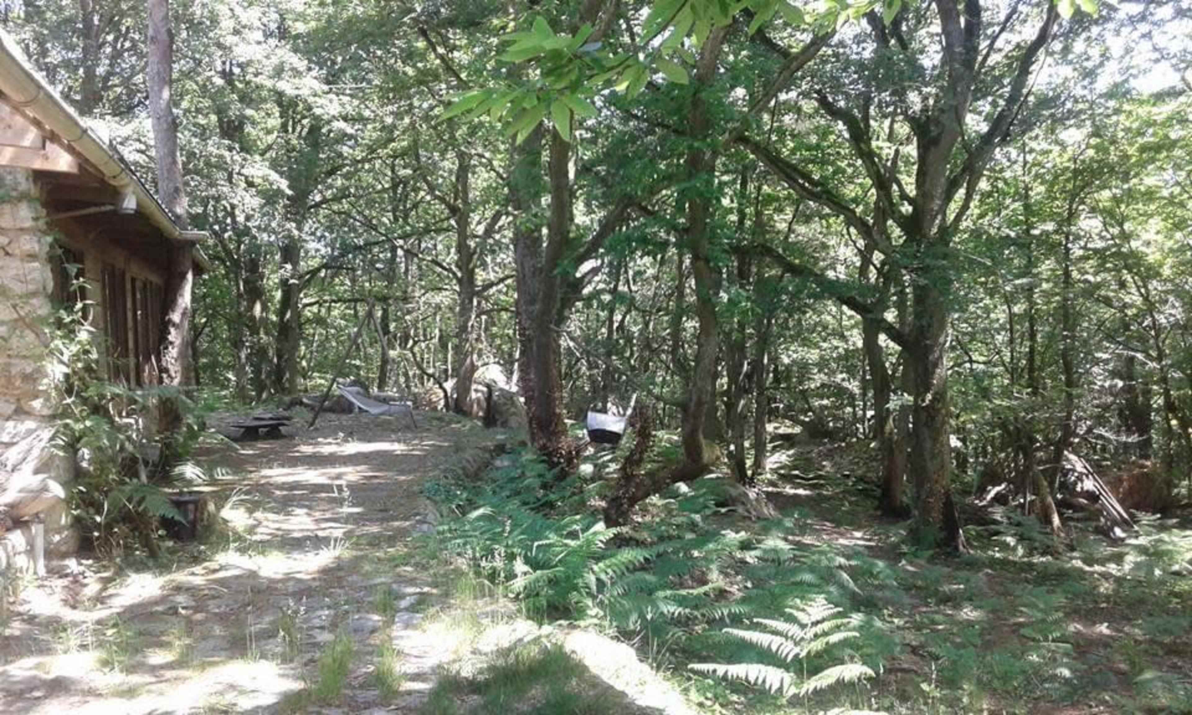 A stone cabin is nestled among lush green trees and ferns, with a path leading into the wooded area.