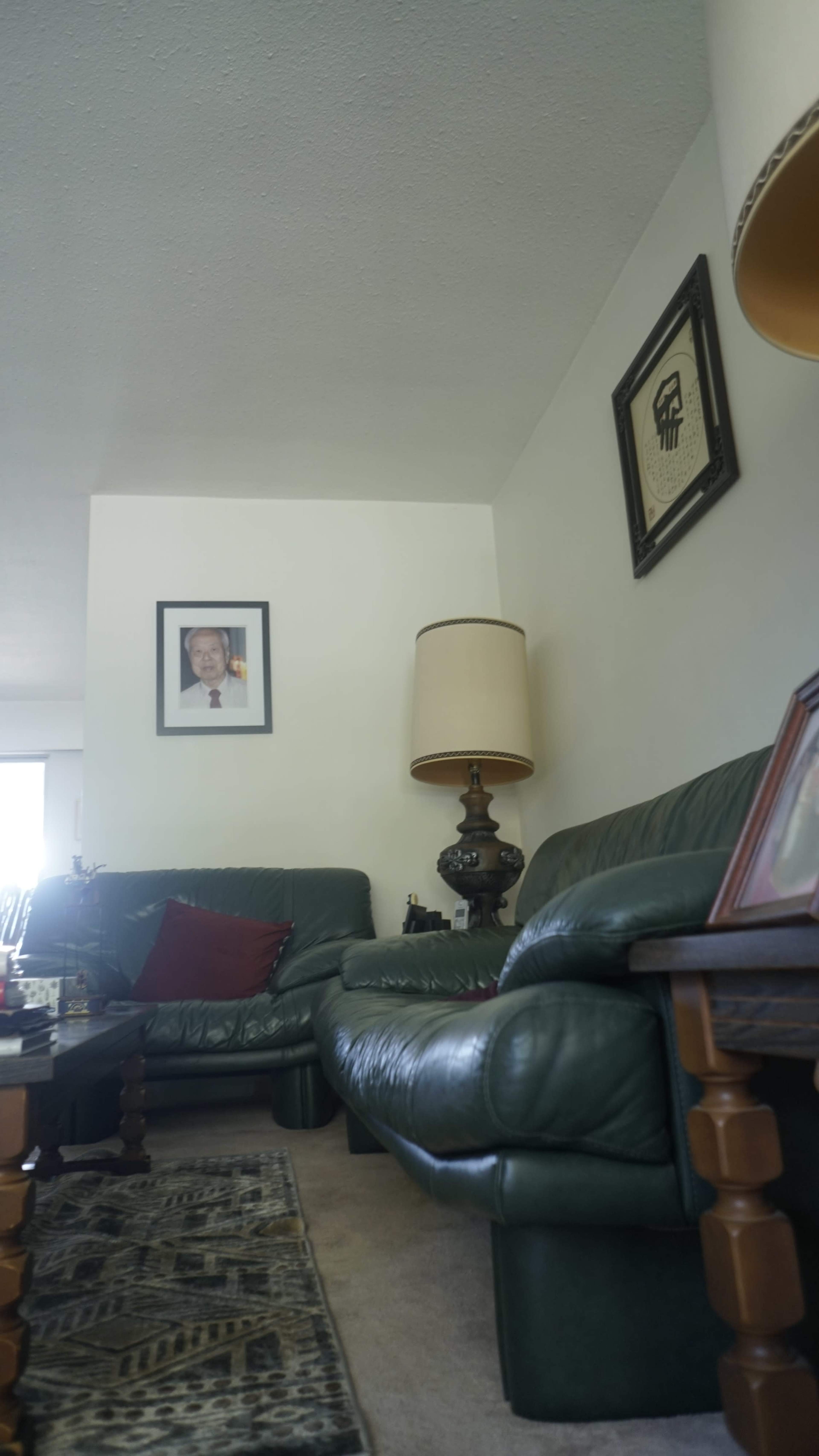 The image shows a living room with a green leather sofa, a wooden coffee table, a lamp, a framed photo on the wall, and a window allowing natural light to enter.