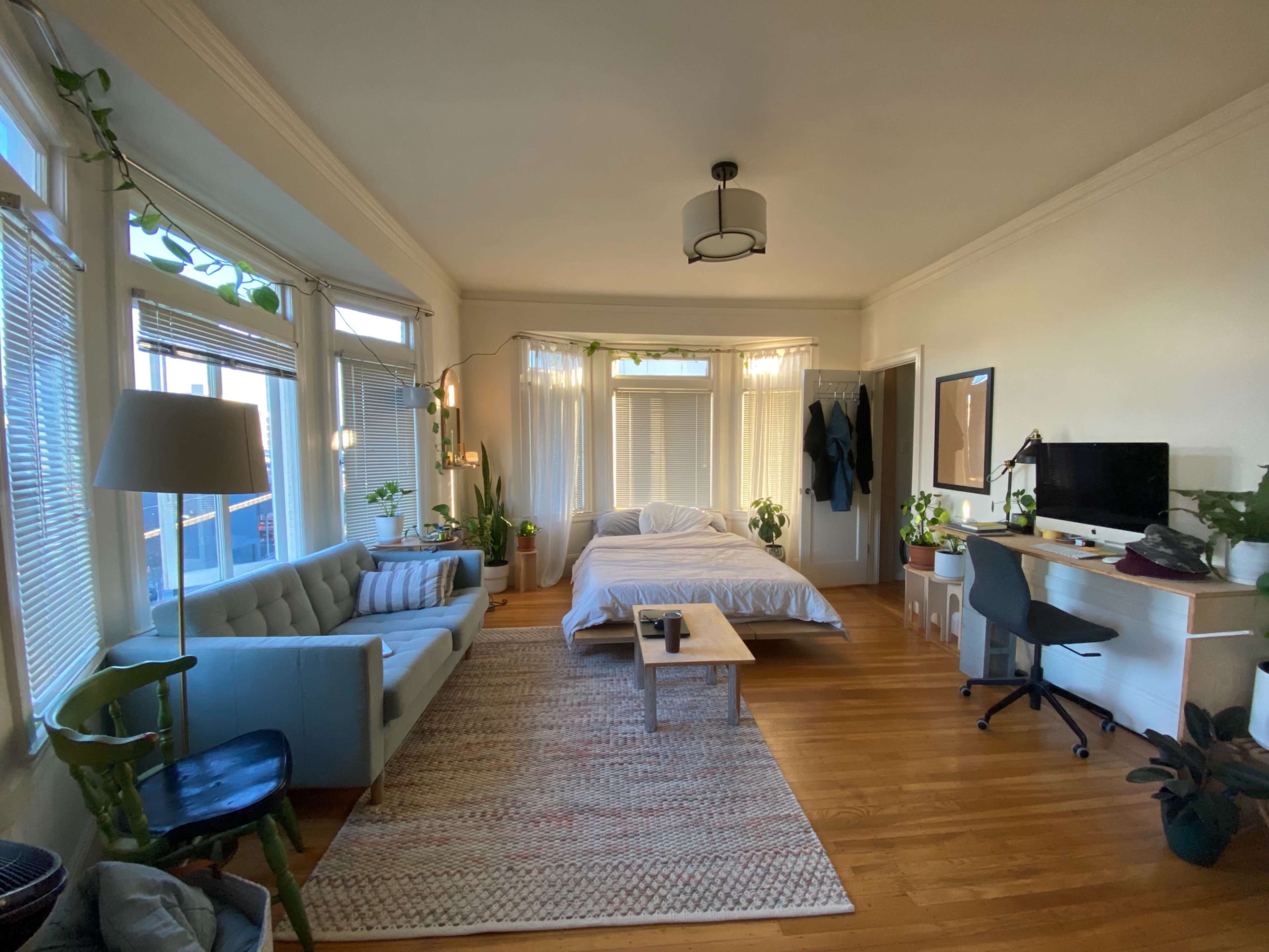 A well-lit studio apartment featuring a bed, a sofa, a desk with a computer, and several indoor plants.