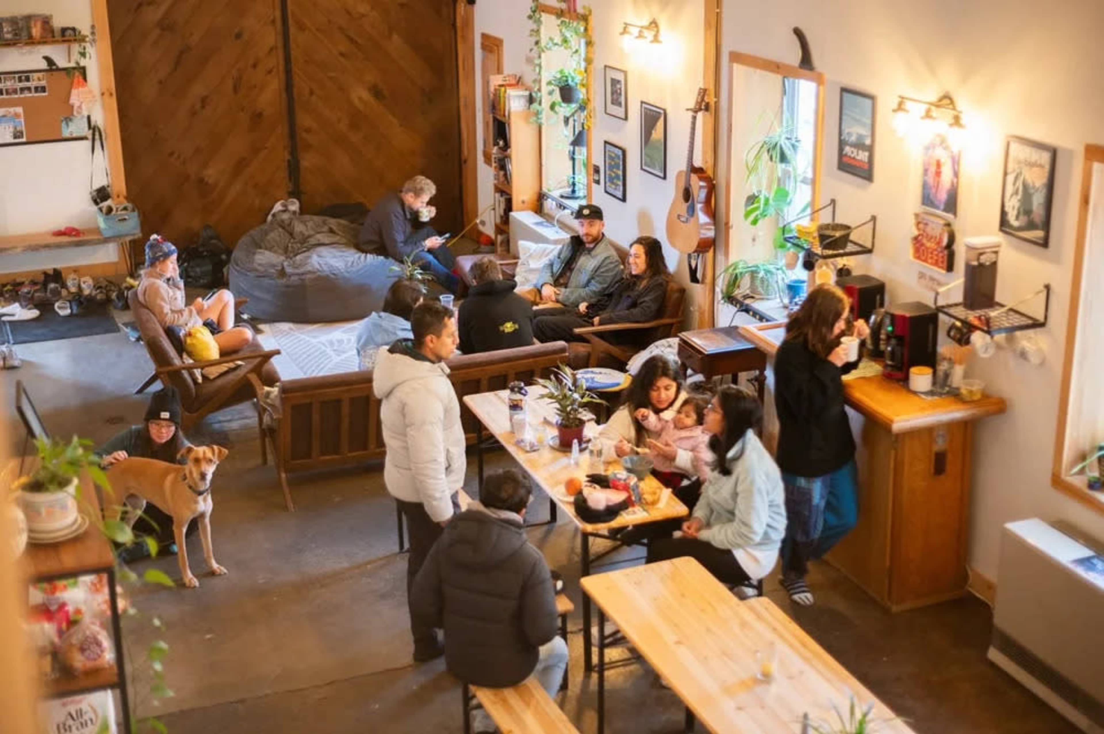 The image shows a cozy, multi-functional space where several people are seated and engaged in various activities, including dining and socializing, surrounded by plants and artwork.