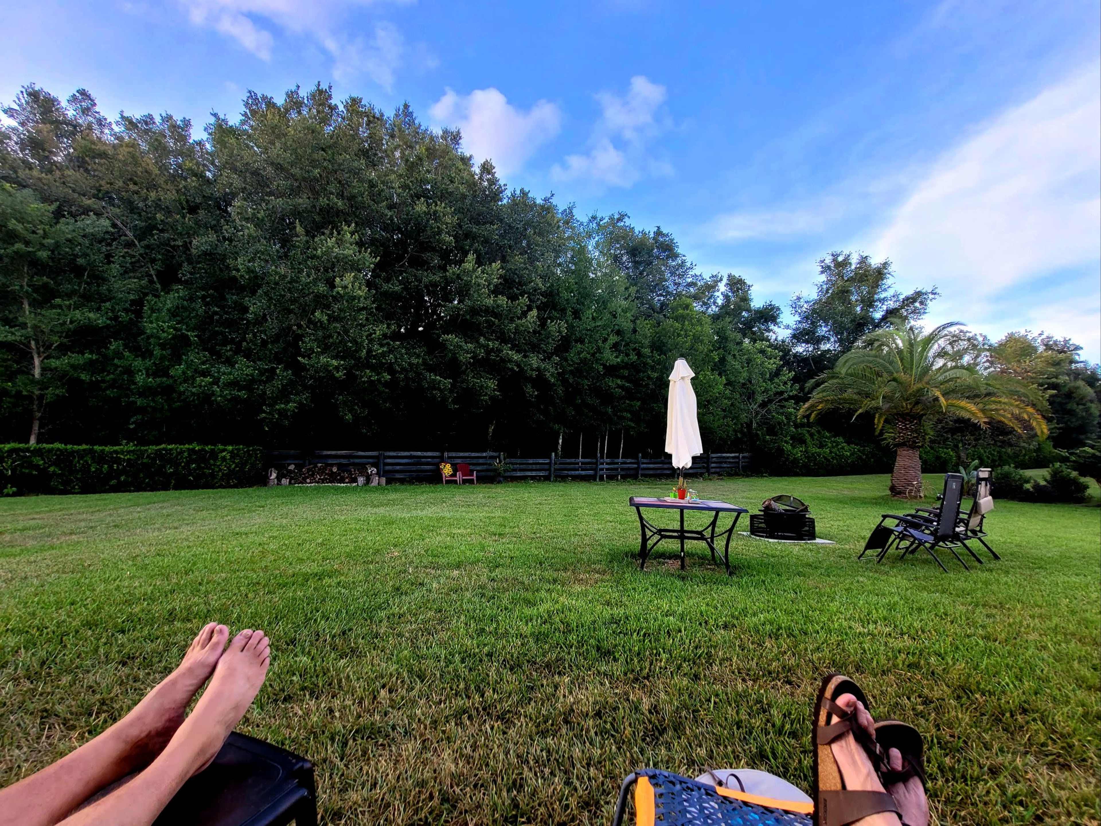 A green lawn with two pairs of feet in the foreground, a white umbrella and a palm tree in the background, and a wooden fence lining the edge of a tree line.