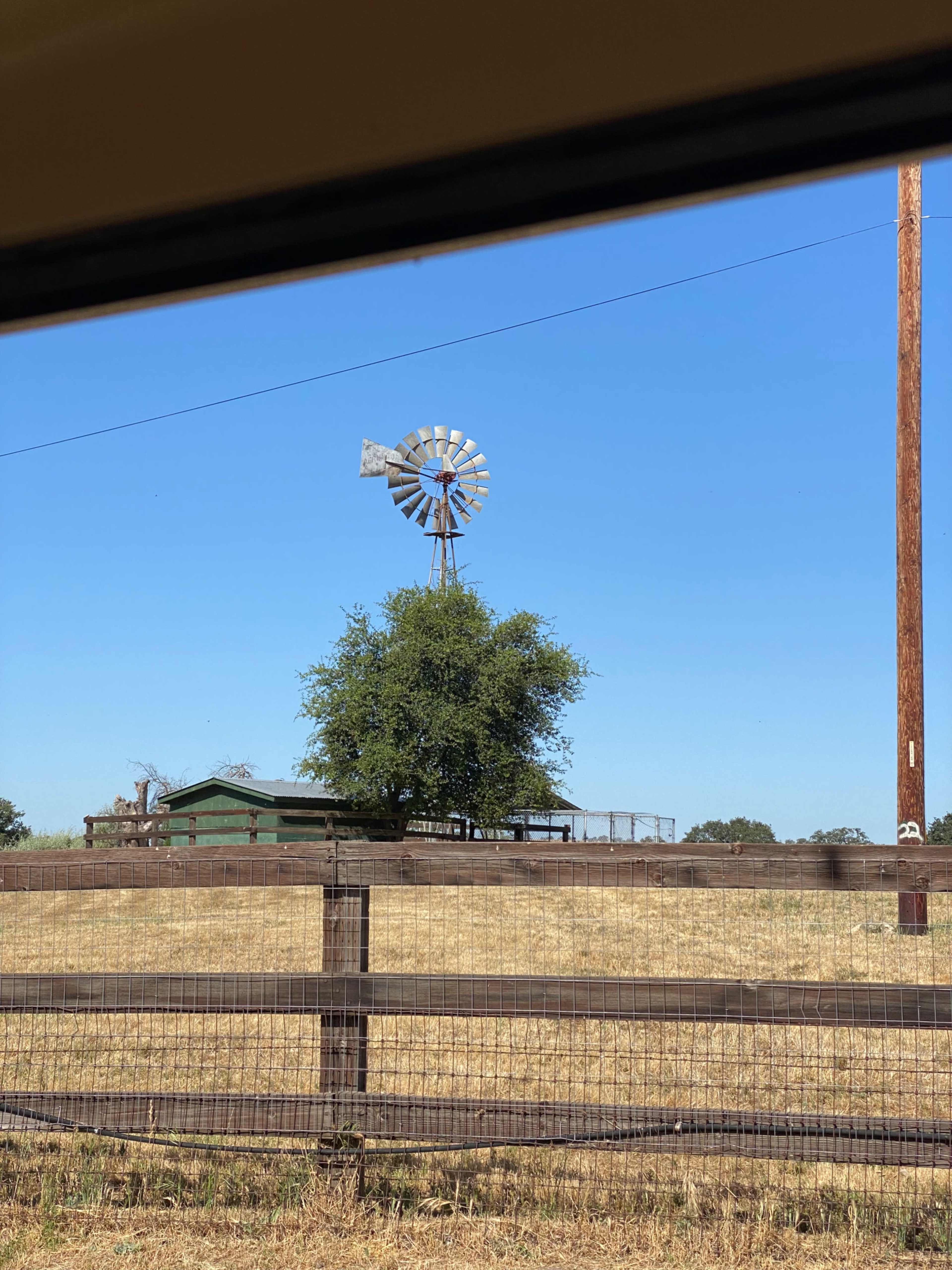 A windmill stands beside a tree on a farm, with a wooden fence in the foreground and a clear blue sky above.
