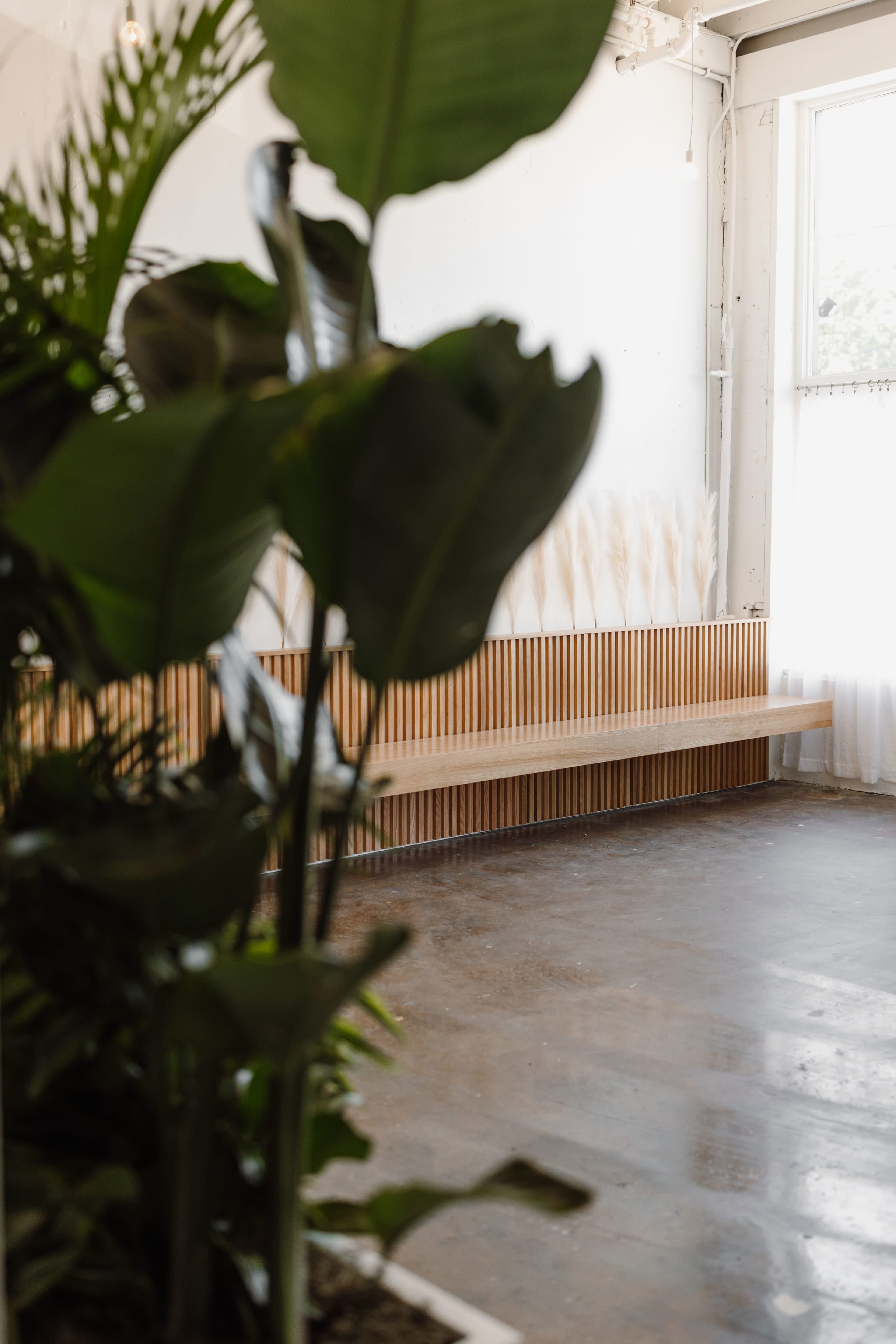 A minimalist interior space with a wooden bench, large plants in the foreground, and a light-filled window at the back.