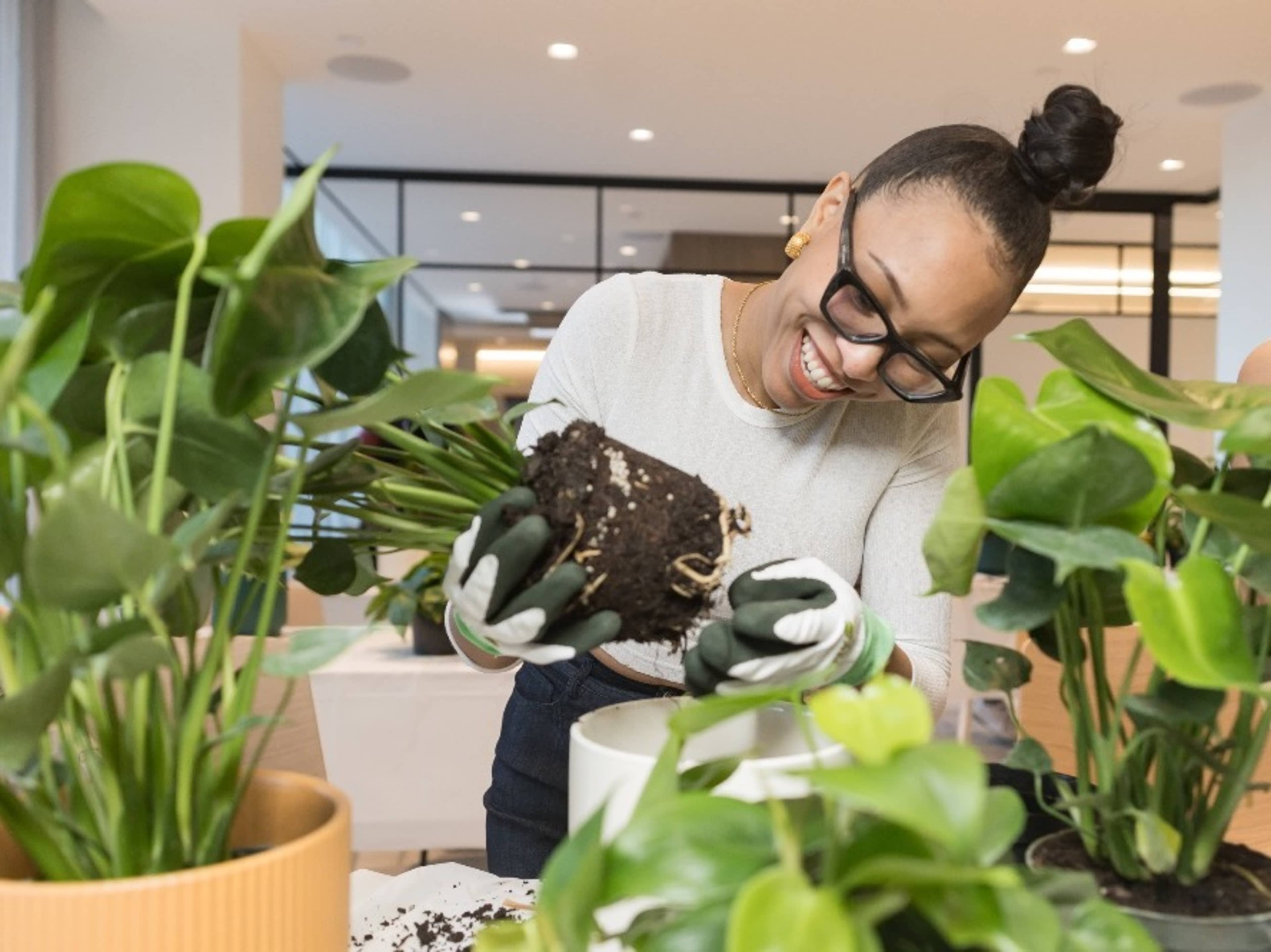 Plant Care + Repotting Experience