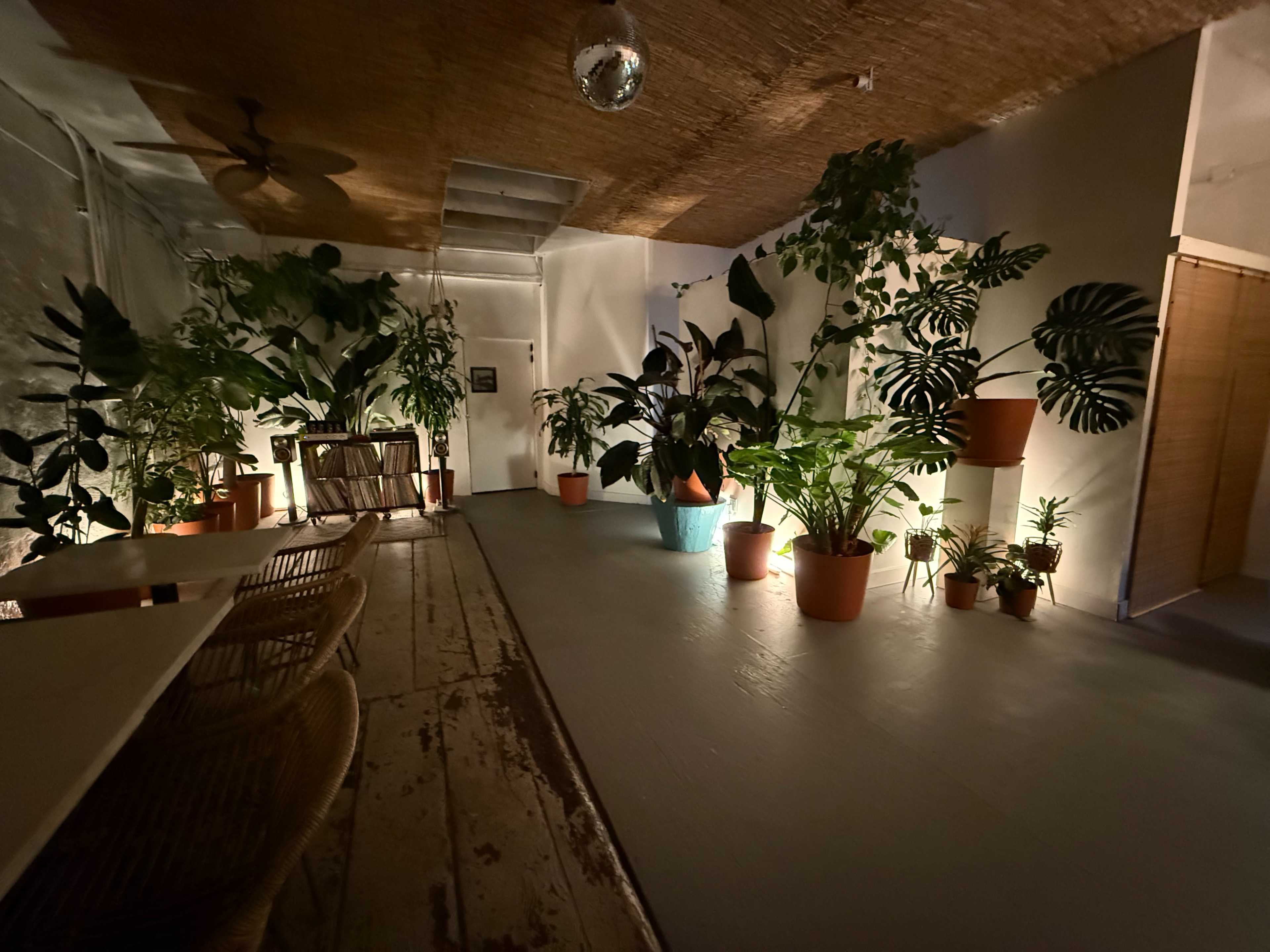 The image shows a room filled with various potted plants arranged along its walls, illuminated by soft lighting.