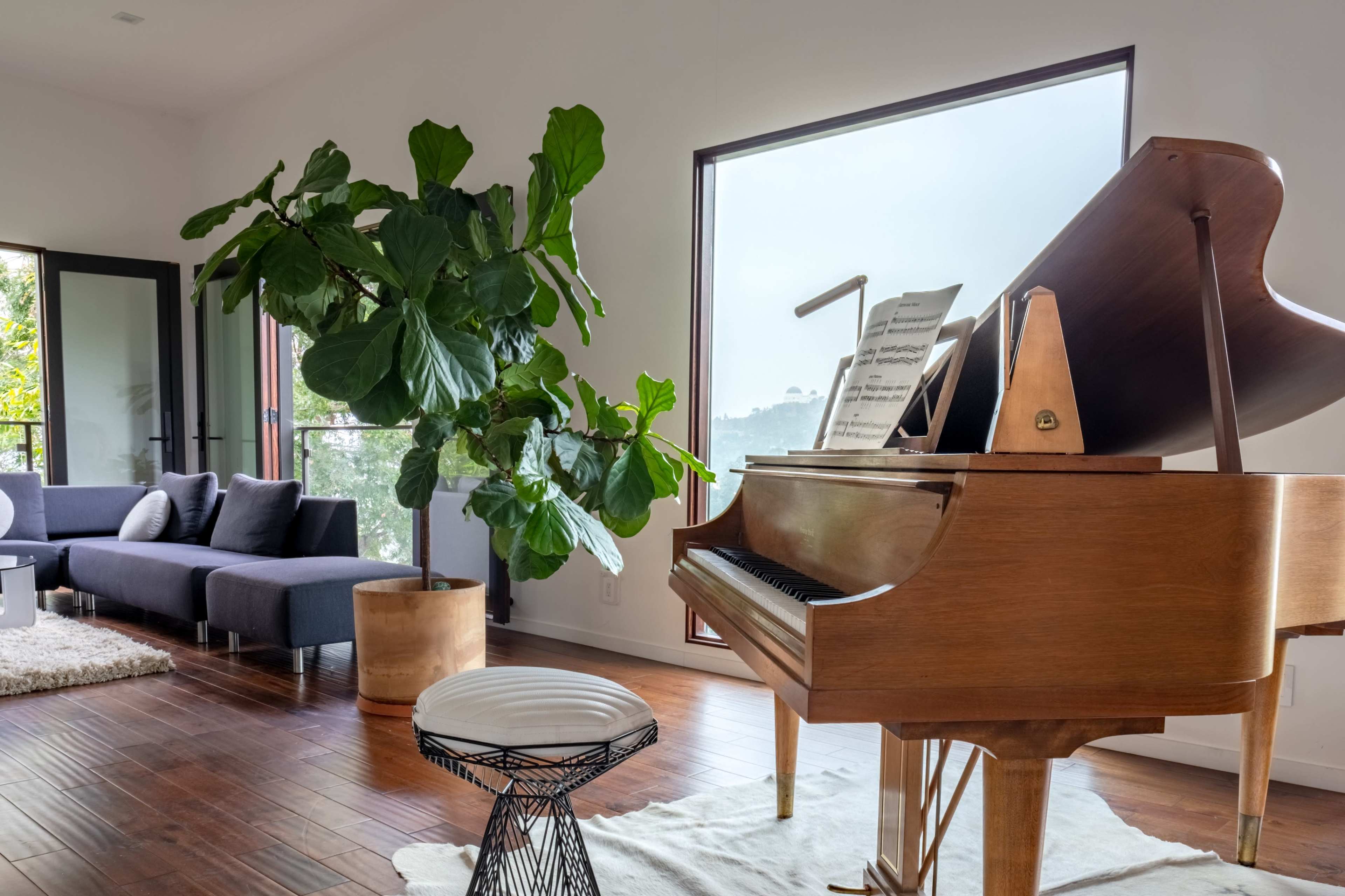 A grand piano sits next to a large potted plant in a bright living room with a modern sofa and large windows.