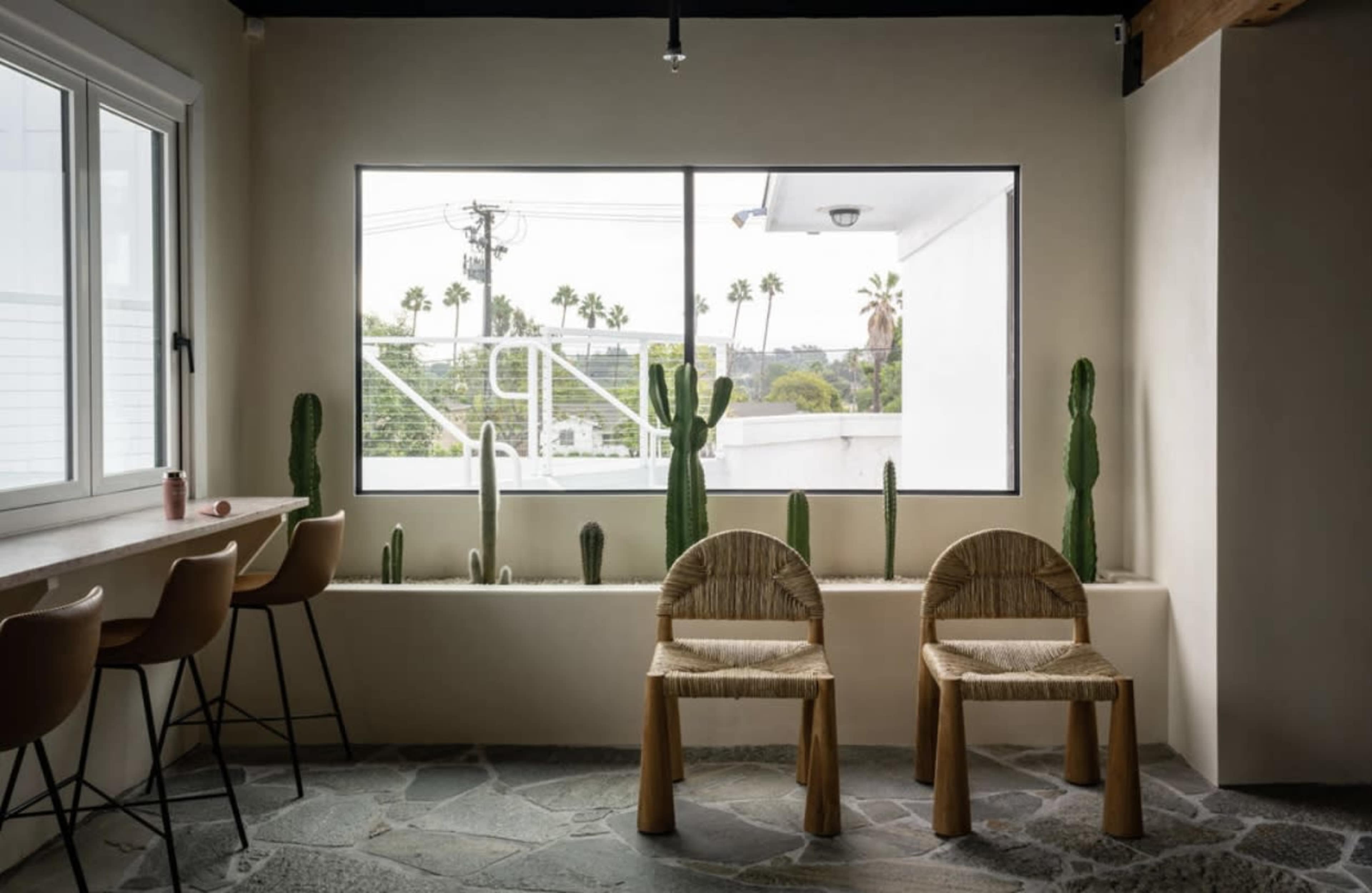 A minimalist interior featuring two woven chairs and a bar area with stools, alongside a window displaying palm trees and cacti arranged in a modern planter.