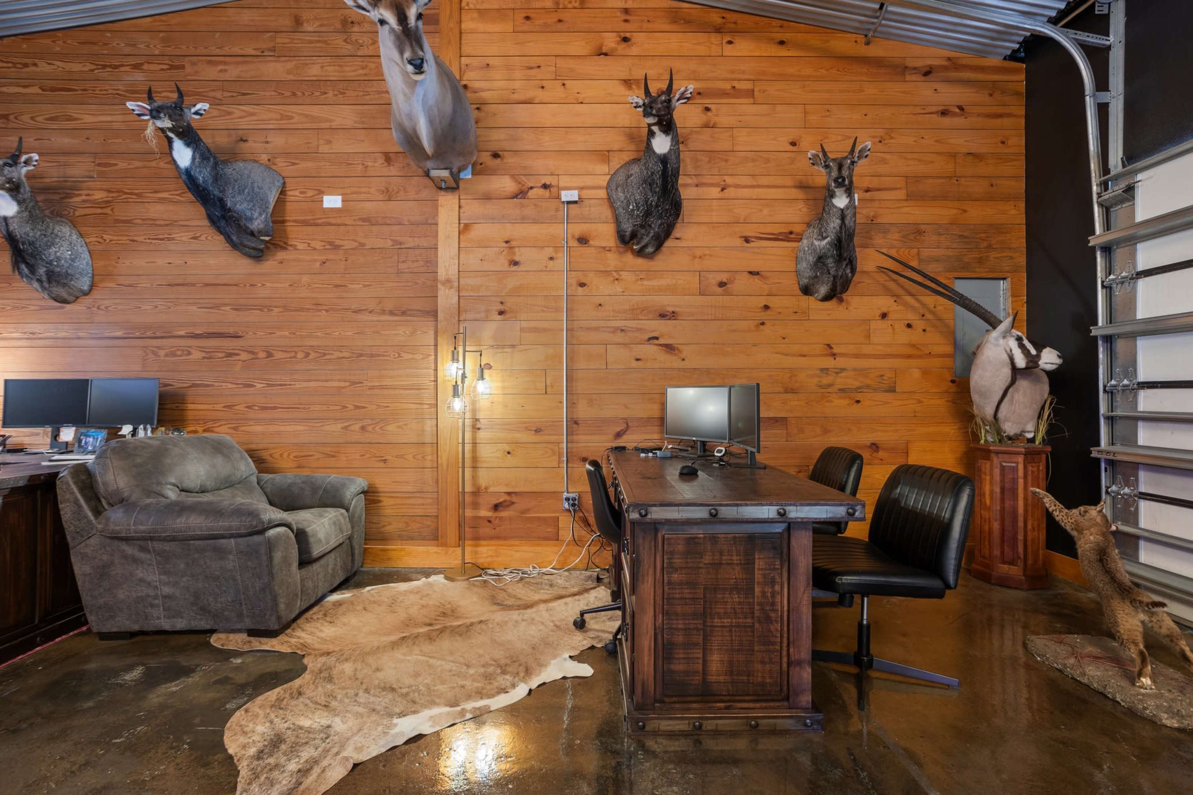 A rustic office space with wooden walls, mounted animal heads, a large gray armchair, a wooden desk, and a cowhide rug on a polished concrete floor.