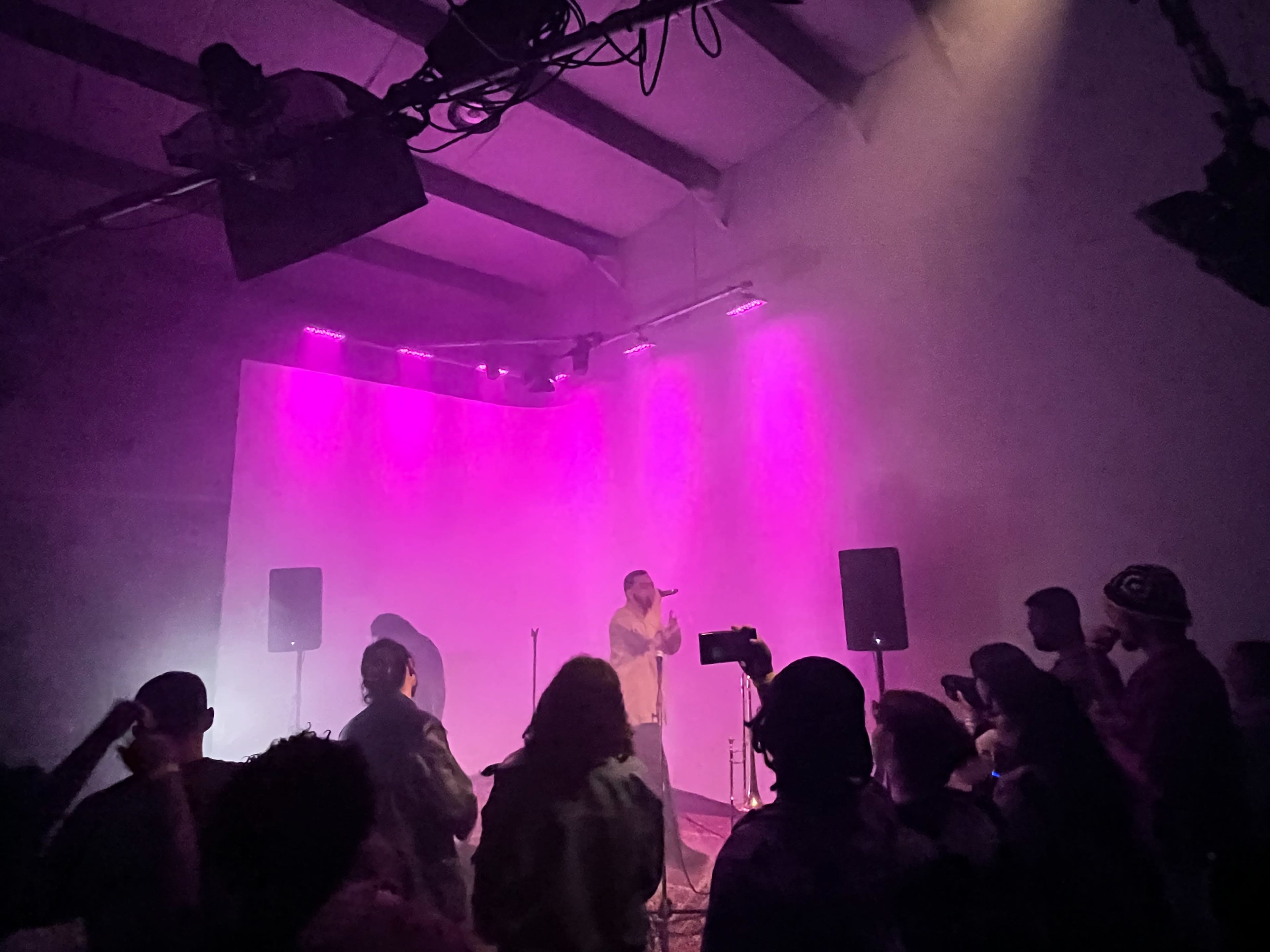 A performer sings on stage illuminated by purple lights while an audience watches from in front.