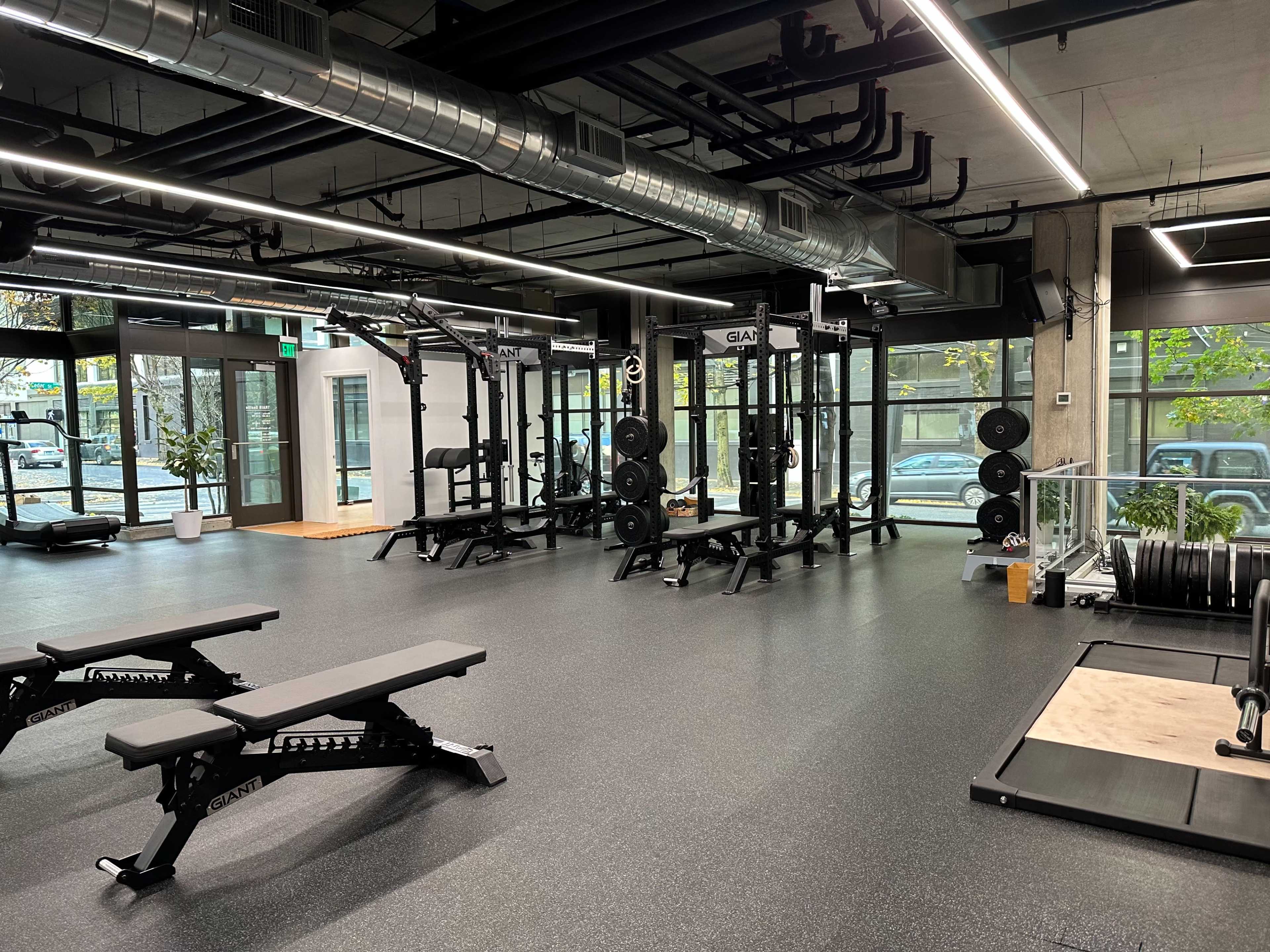 A modern gym interior with weightlifting equipment, benches, and large windows allowing natural light.