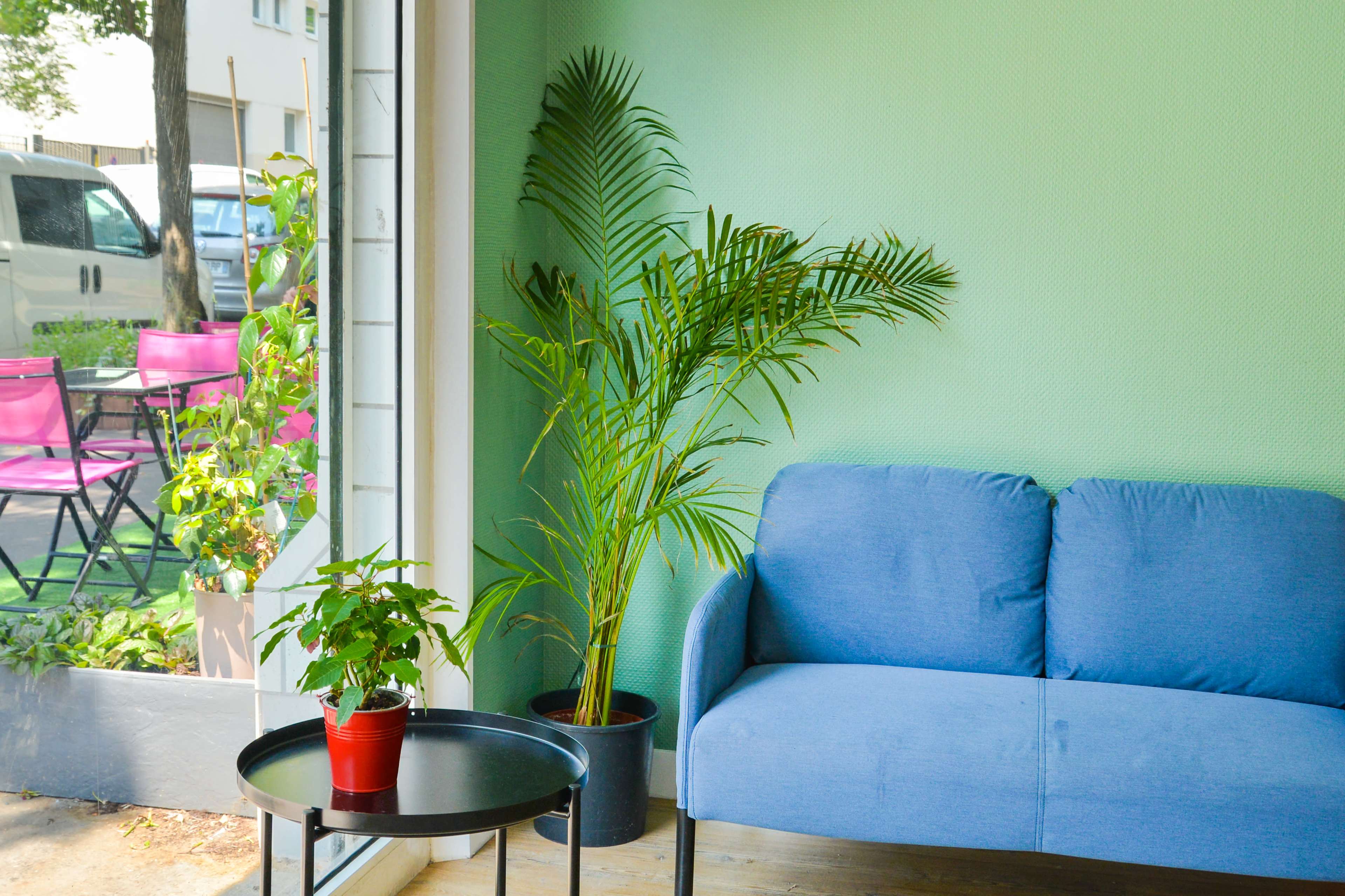 A blue sofa sits beside a potted plant in a room with green walls and large windows overlooking an outdoor seating area.