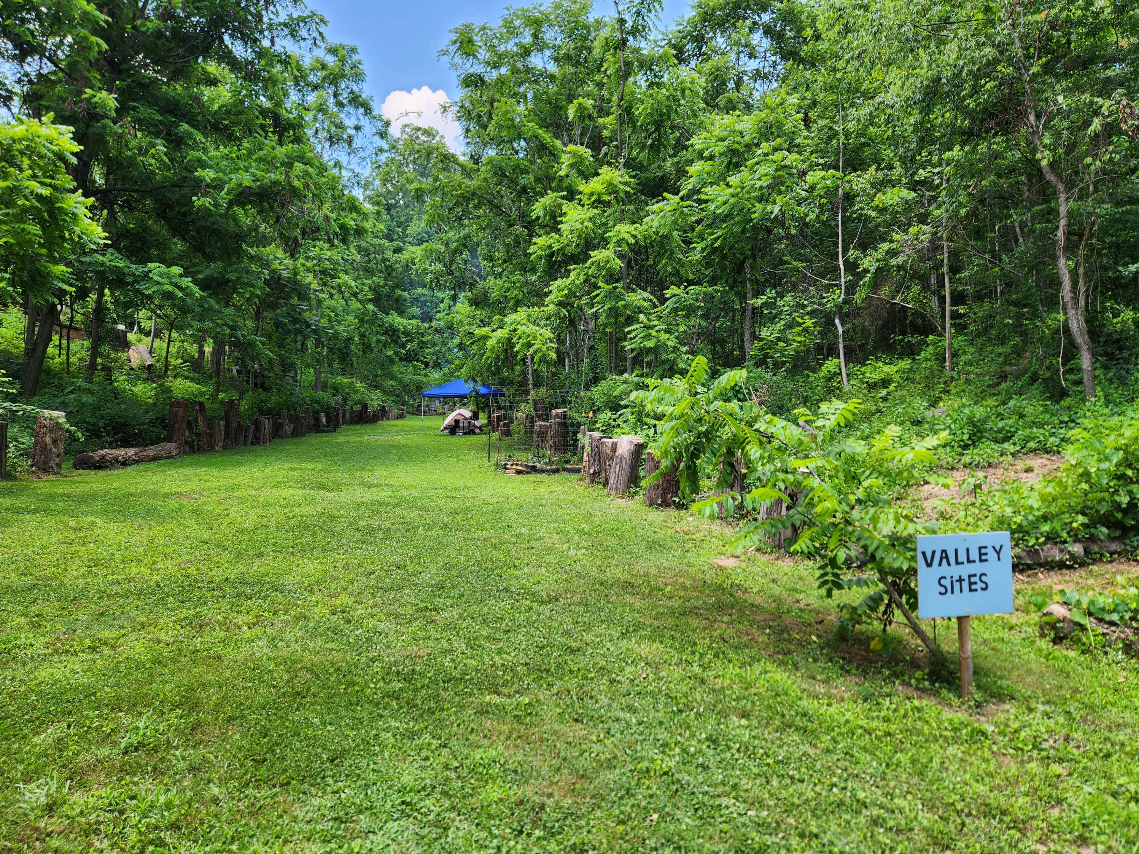 The image shows a grassy area surrounded by trees, with a sign that reads "Valley Sites" positioned on the right side.