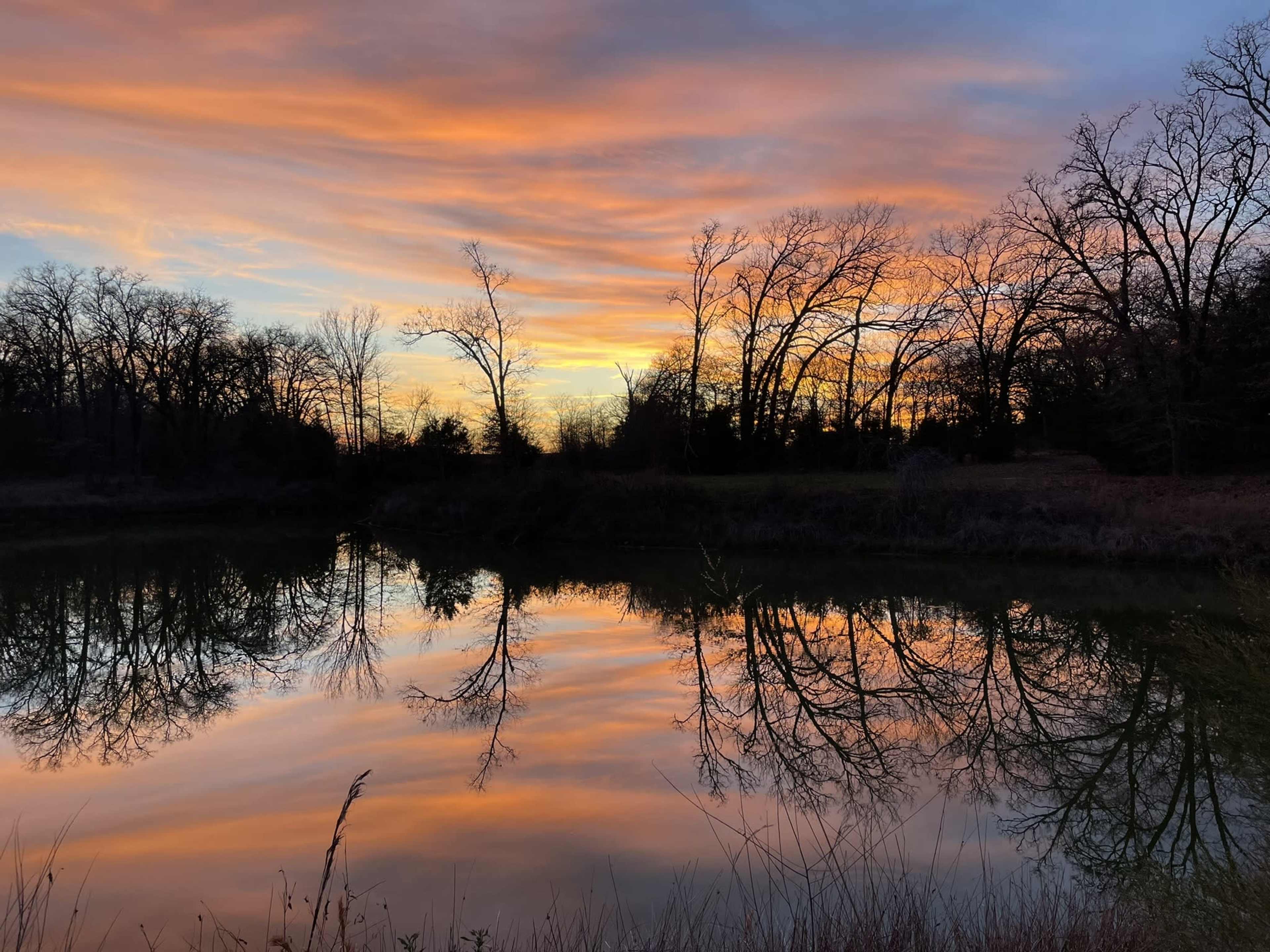 The image shows a tranquil pond reflecting a colorful sunset with bare trees lining the shore.