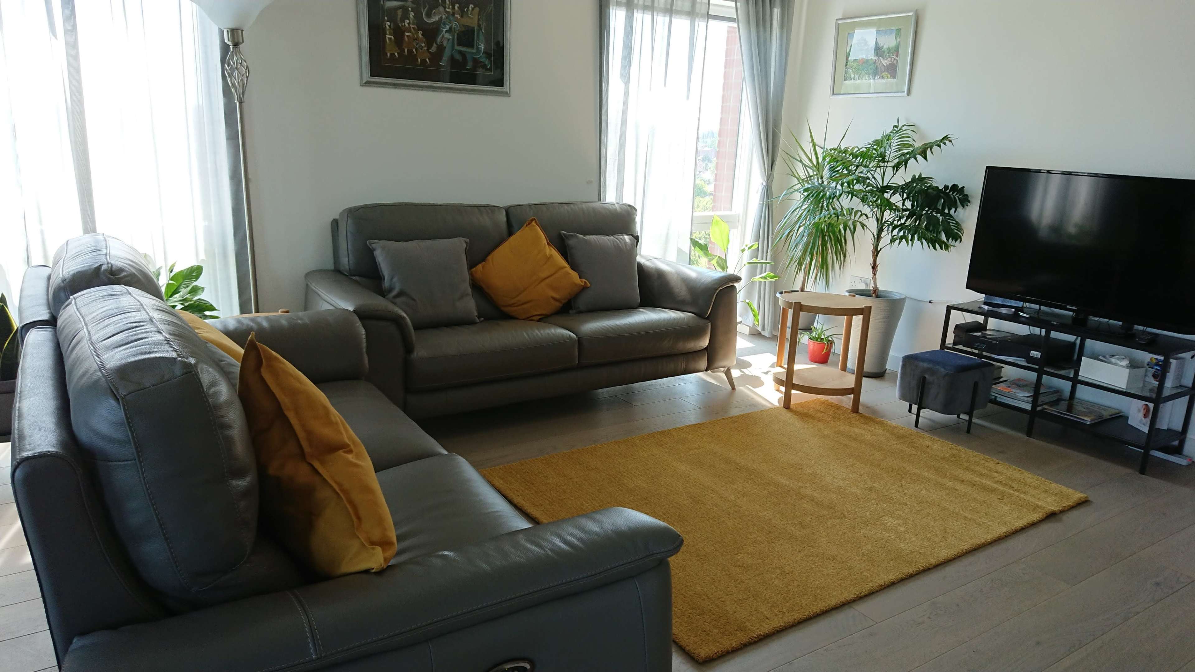 A living room with two gray leather sofas, yellow cushions, a small coffee table, a television stand, and a bright area rug on wooden flooring.