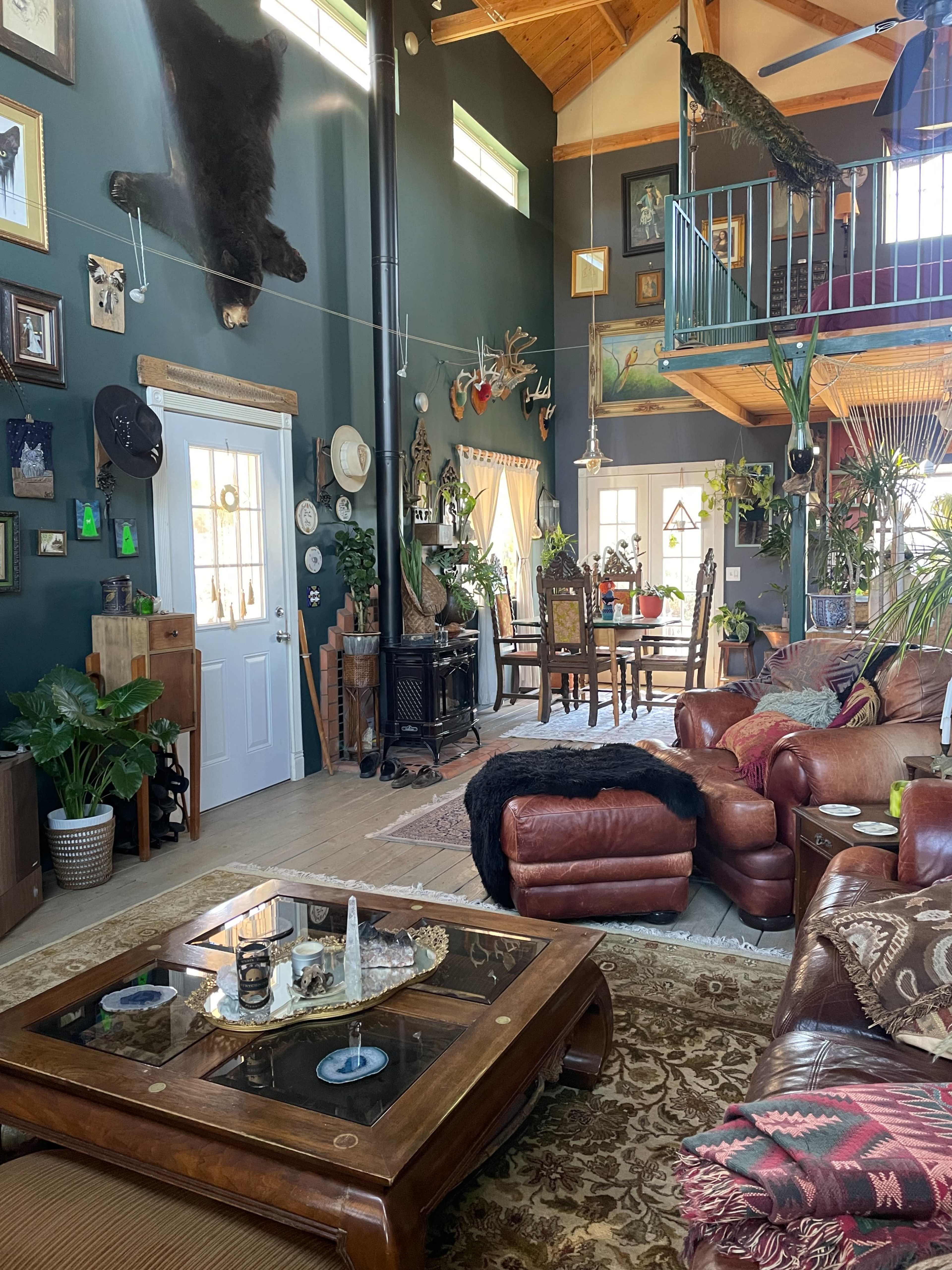 The image shows a cozy living room with a wooden coffee table, leather furniture, and various decorations on the walls, including animal mounts and plants.