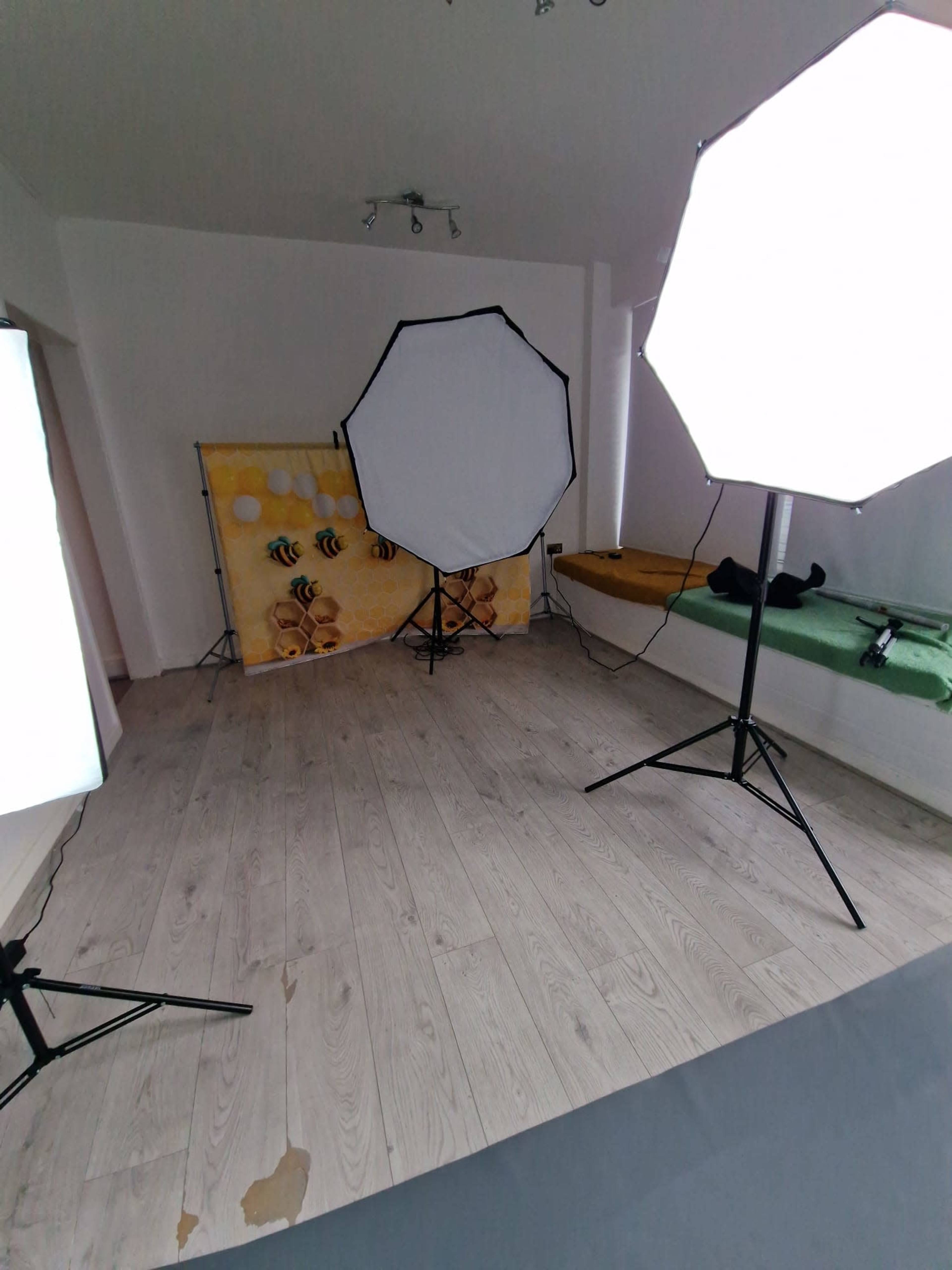 A photography studio is set up with two softbox lights and a backdrop featuring bees and honey, on a wooden floor.