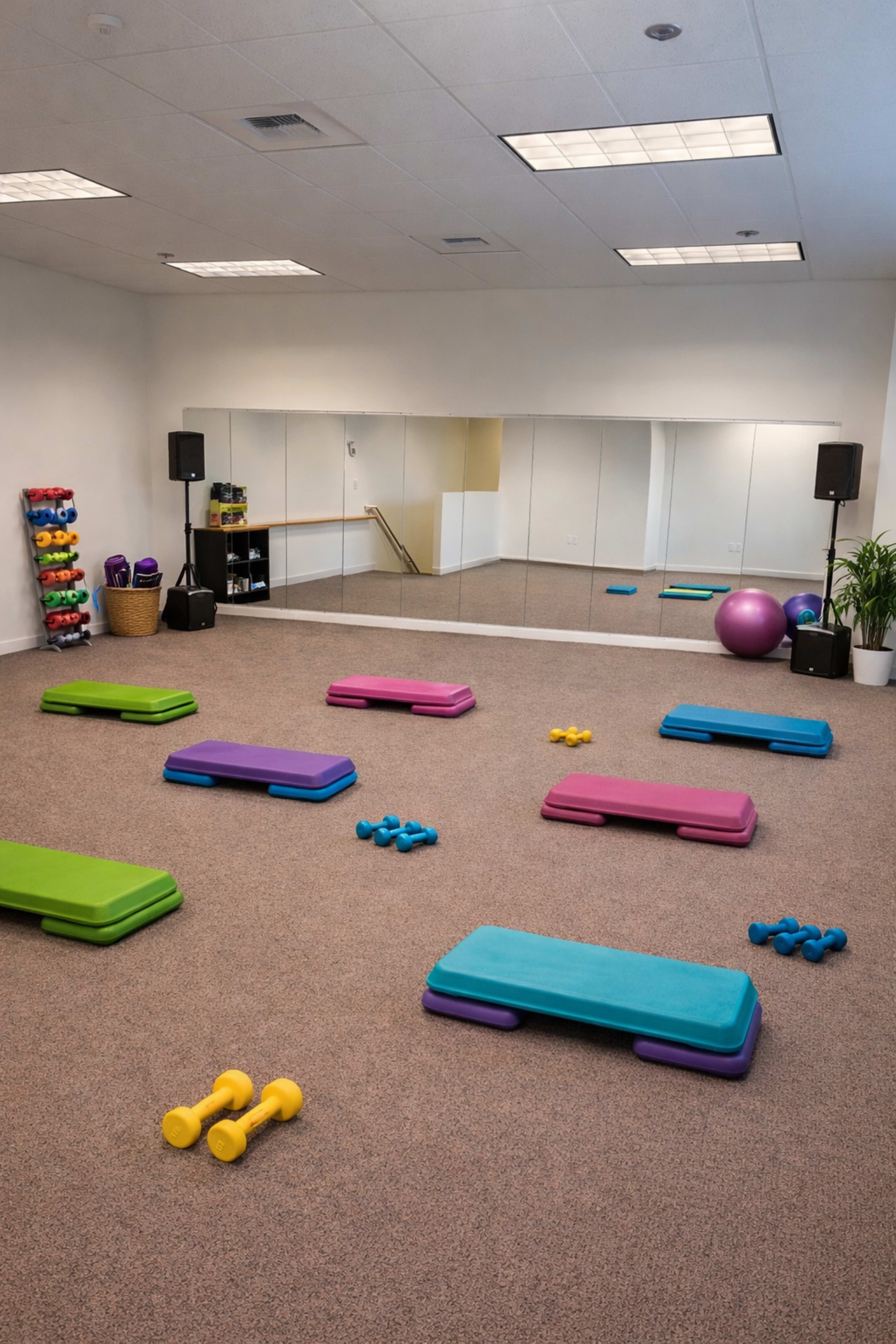 The image shows a mirrored exercise room with colorful step platforms, dumbbells, and an exercise ball arranged across a carpeted floor.