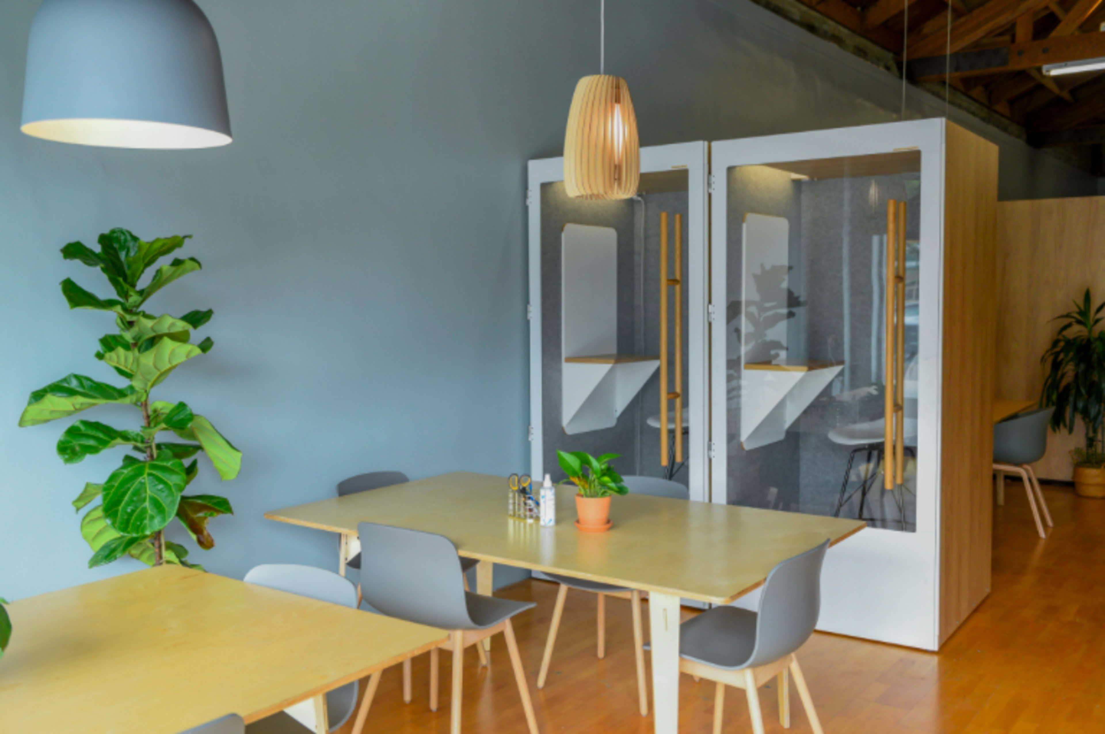 A modern office space with wooden tables, gray chairs, a large plant, and two glass partitioned meeting rooms.