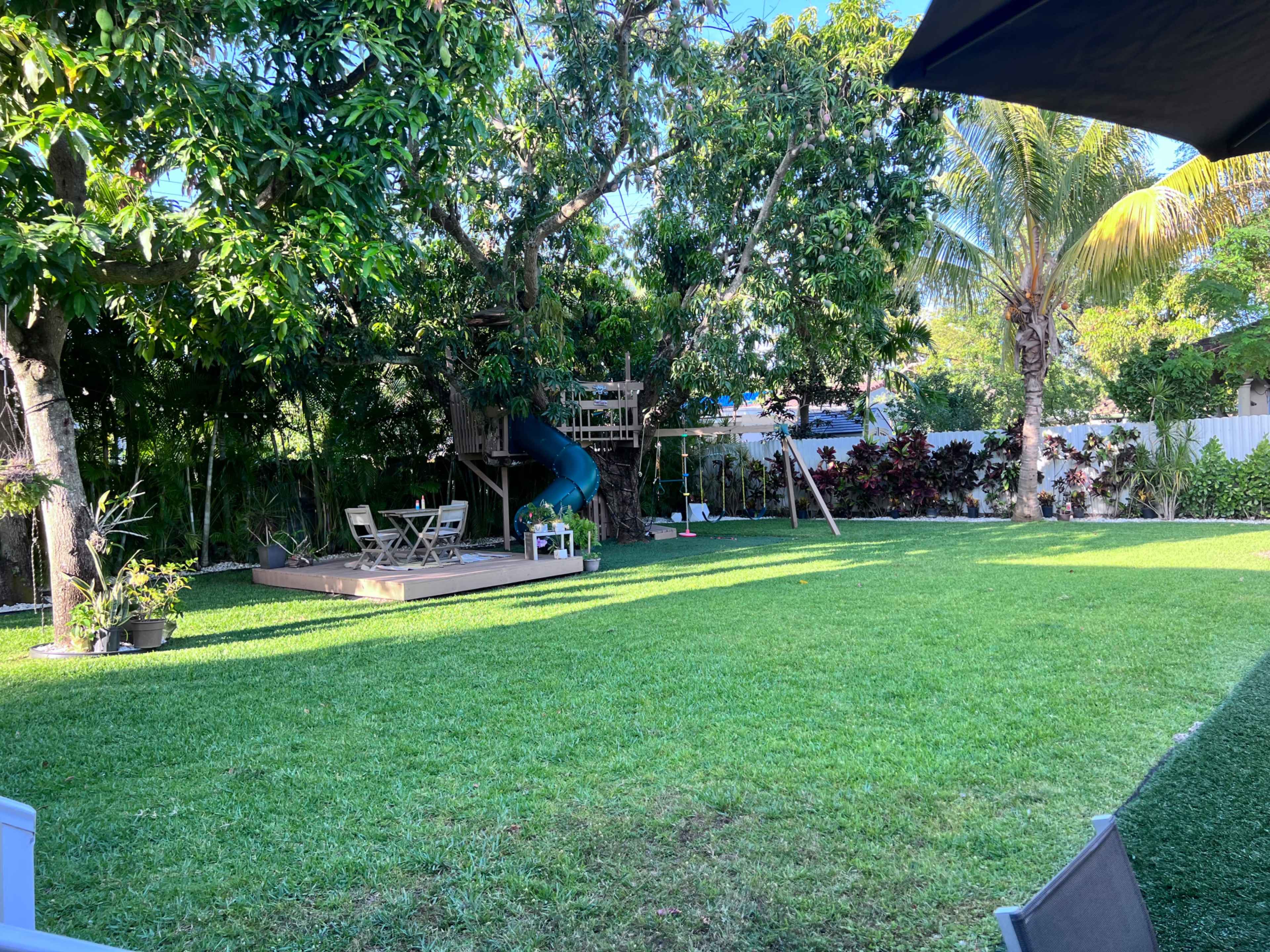 The image shows a grassy backyard with a wooden play structure featuring a slide, surrounded by various trees and plants.