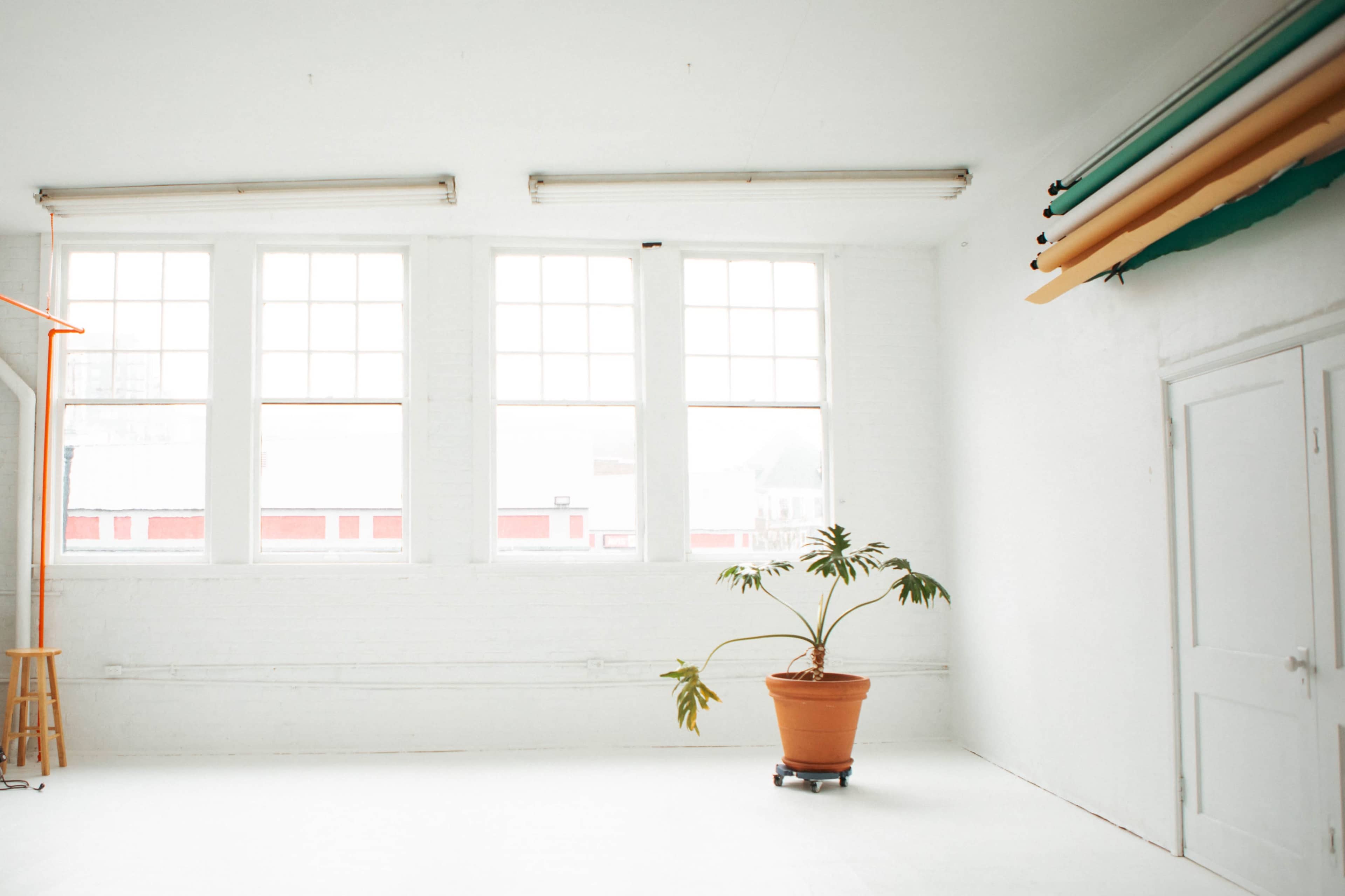 NEW Natural Light Studio + Creative Space Image in New Tacoma, Tacoma, WA