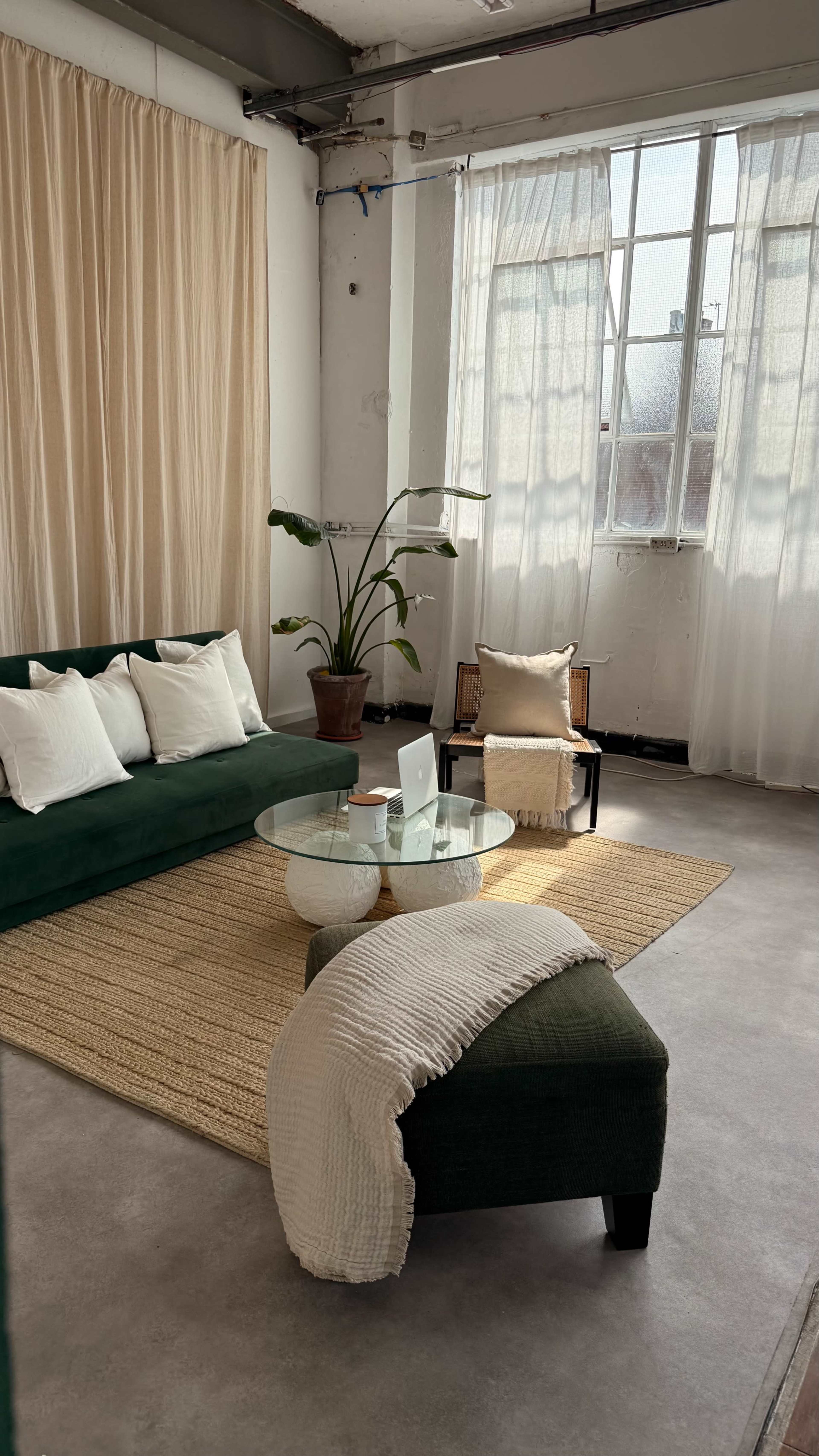 A modern living room features a green sofa with white cushions, a glass coffee table, a beige rug, and a potted plant near a large window.