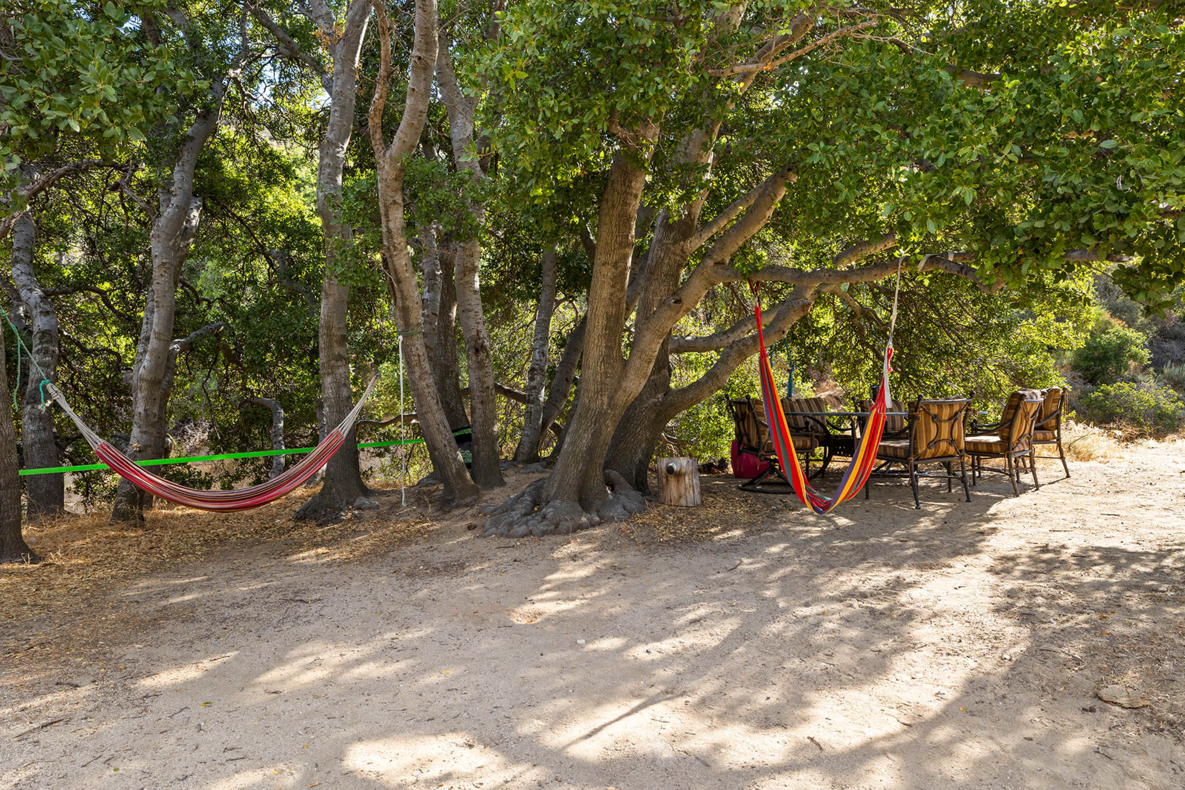 Private Secluded Oak Forest Film Location - easy access Image in Leona Valley, Leona Valley, CA