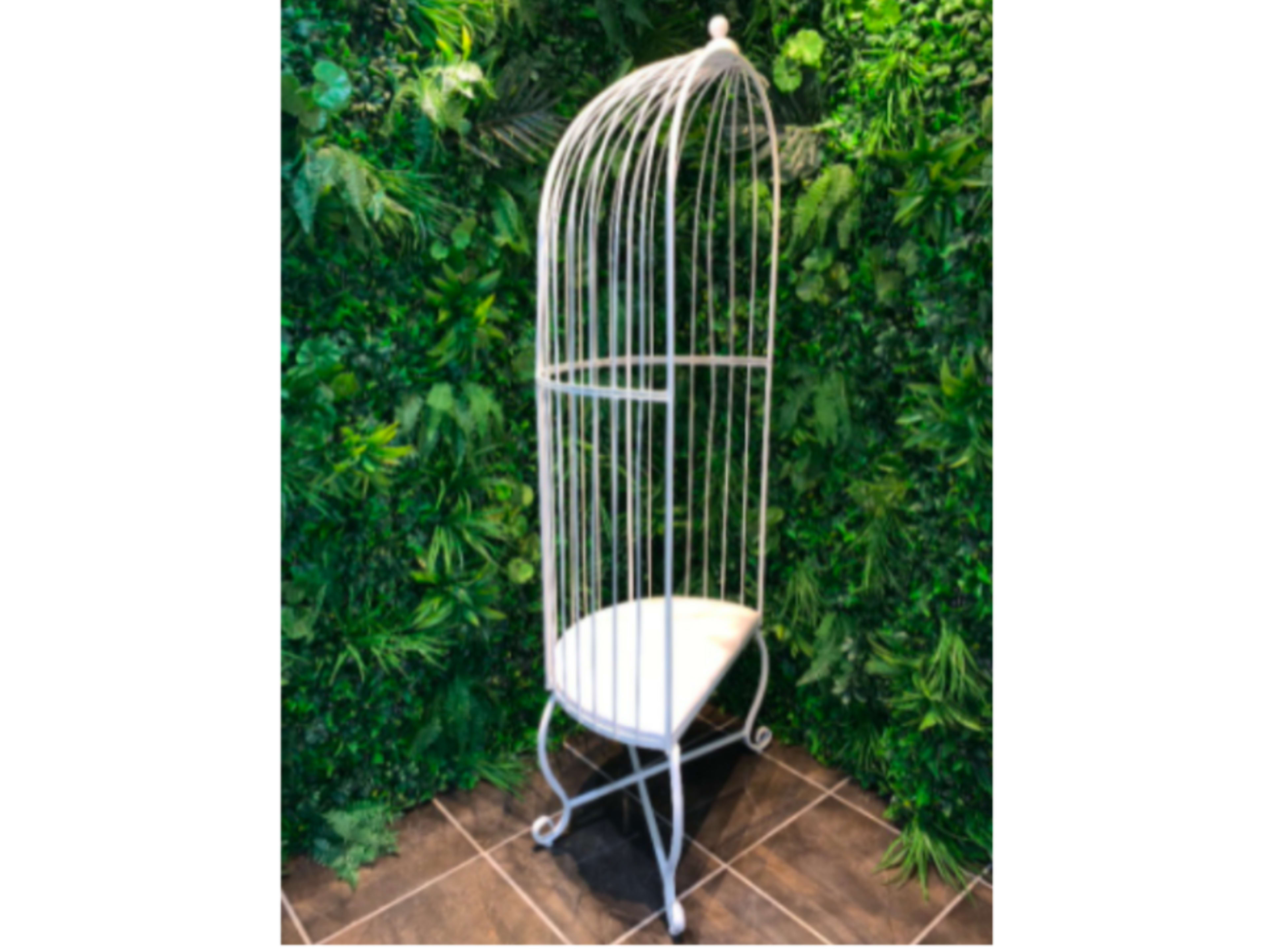 Butterfly Cage Chair