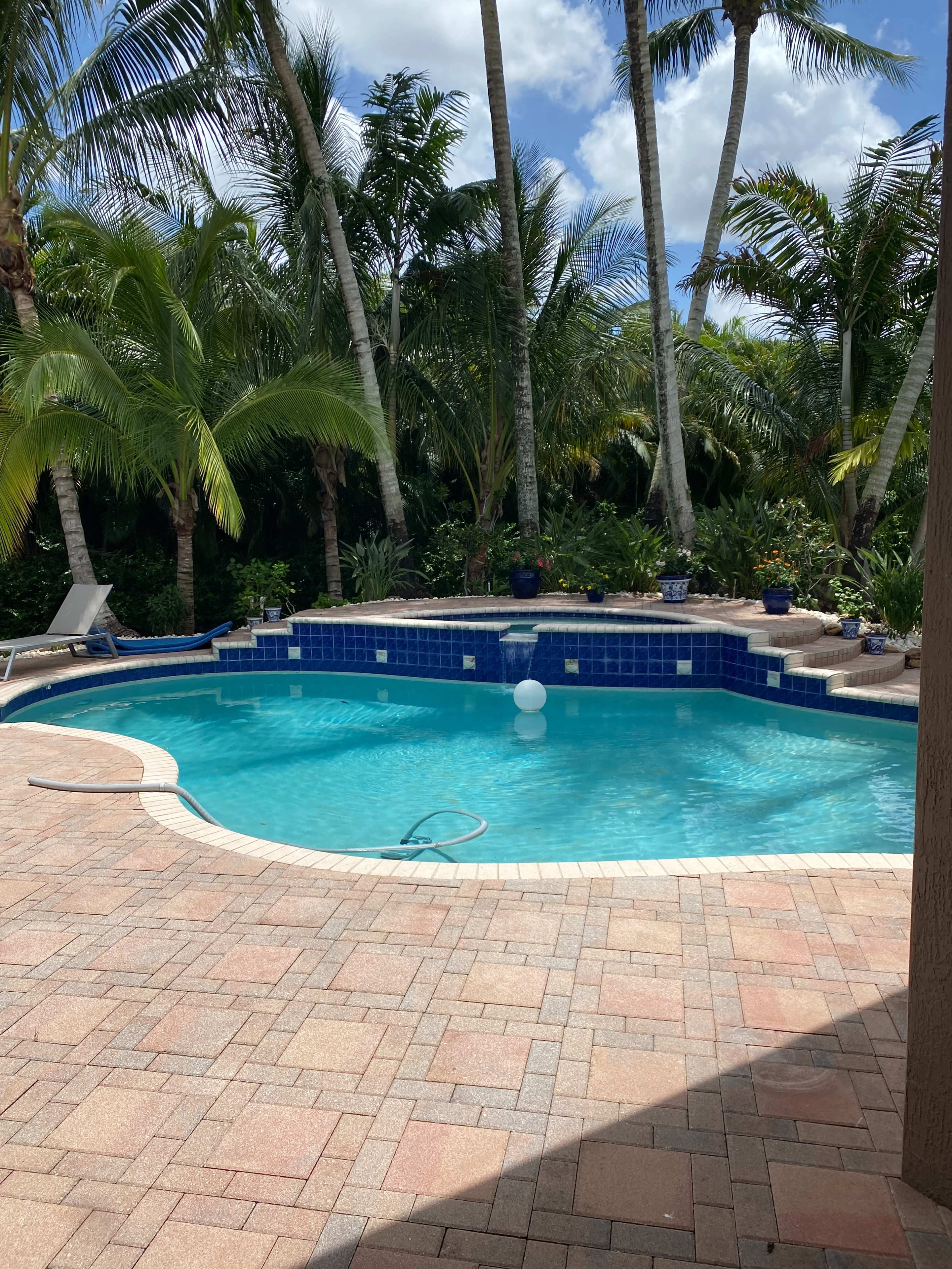 A swimming pool surrounded by palm trees and tropical plants, featuring a brick patio and blue tiles.