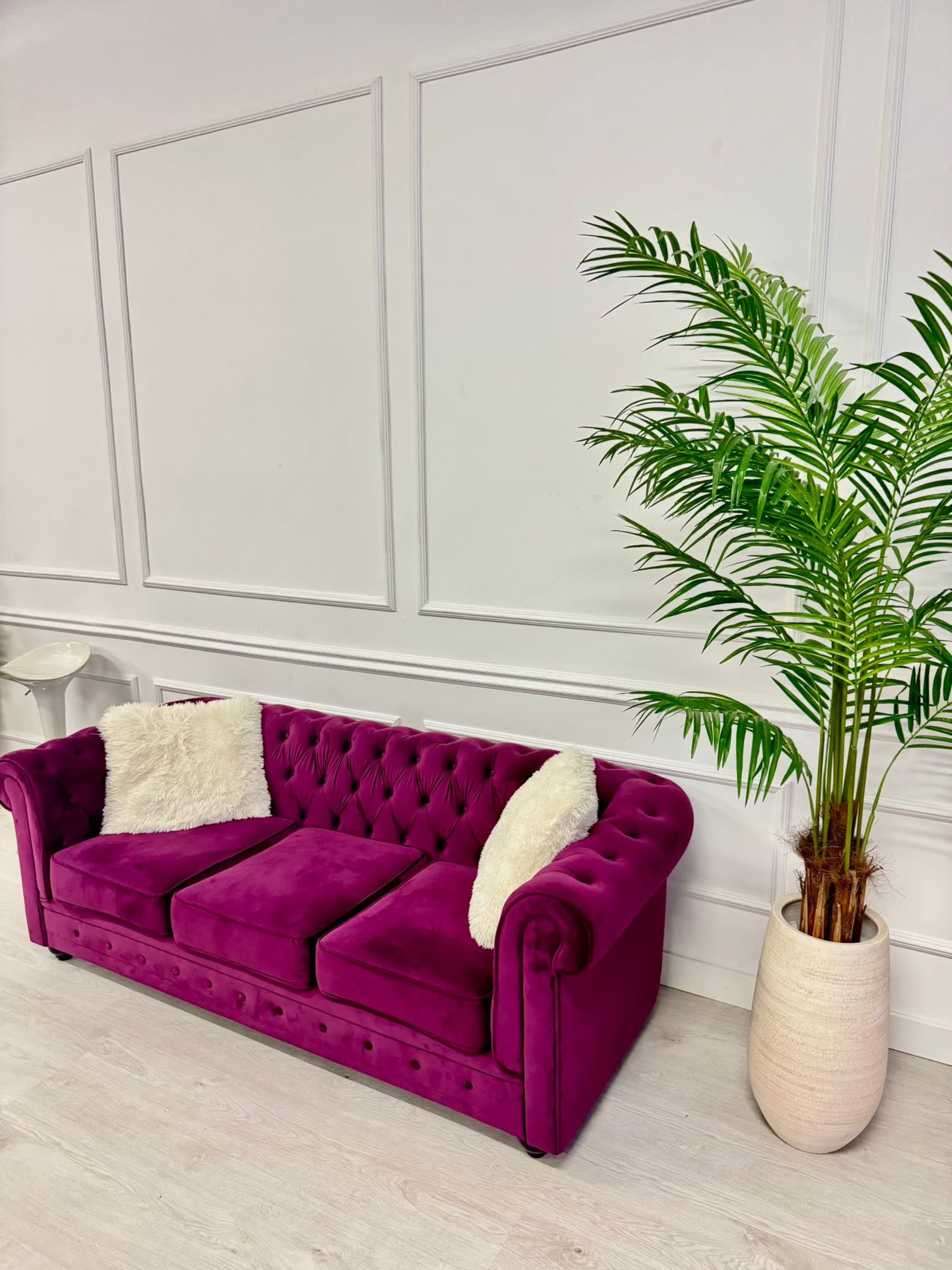 A plush, purple velvet sofa with tufted detailing sits against a white wall, accompanied by a potted palm plant.