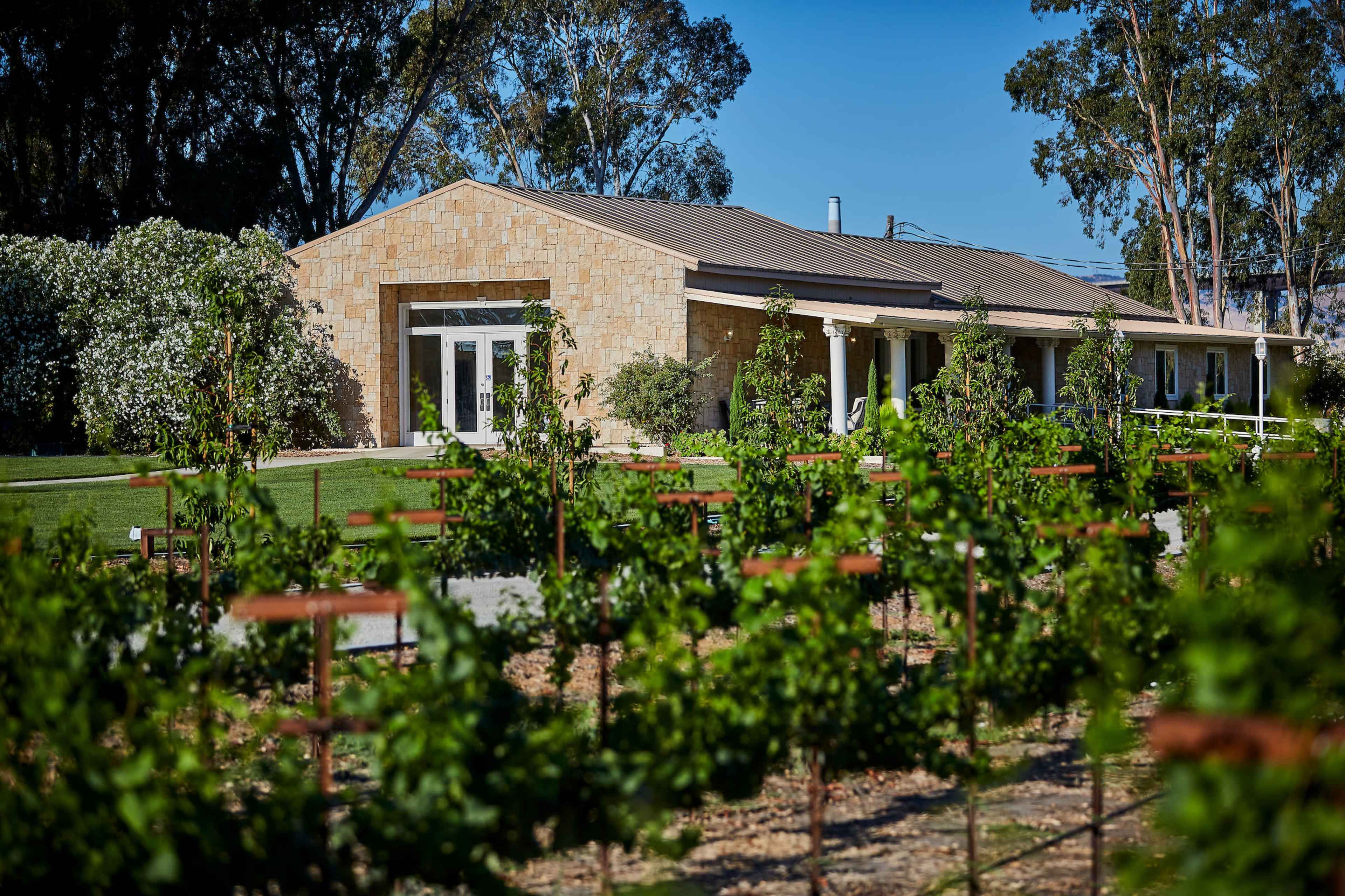 A modern stone building with large front doors is set behind neatly arranged vineyard rows under a clear blue sky.