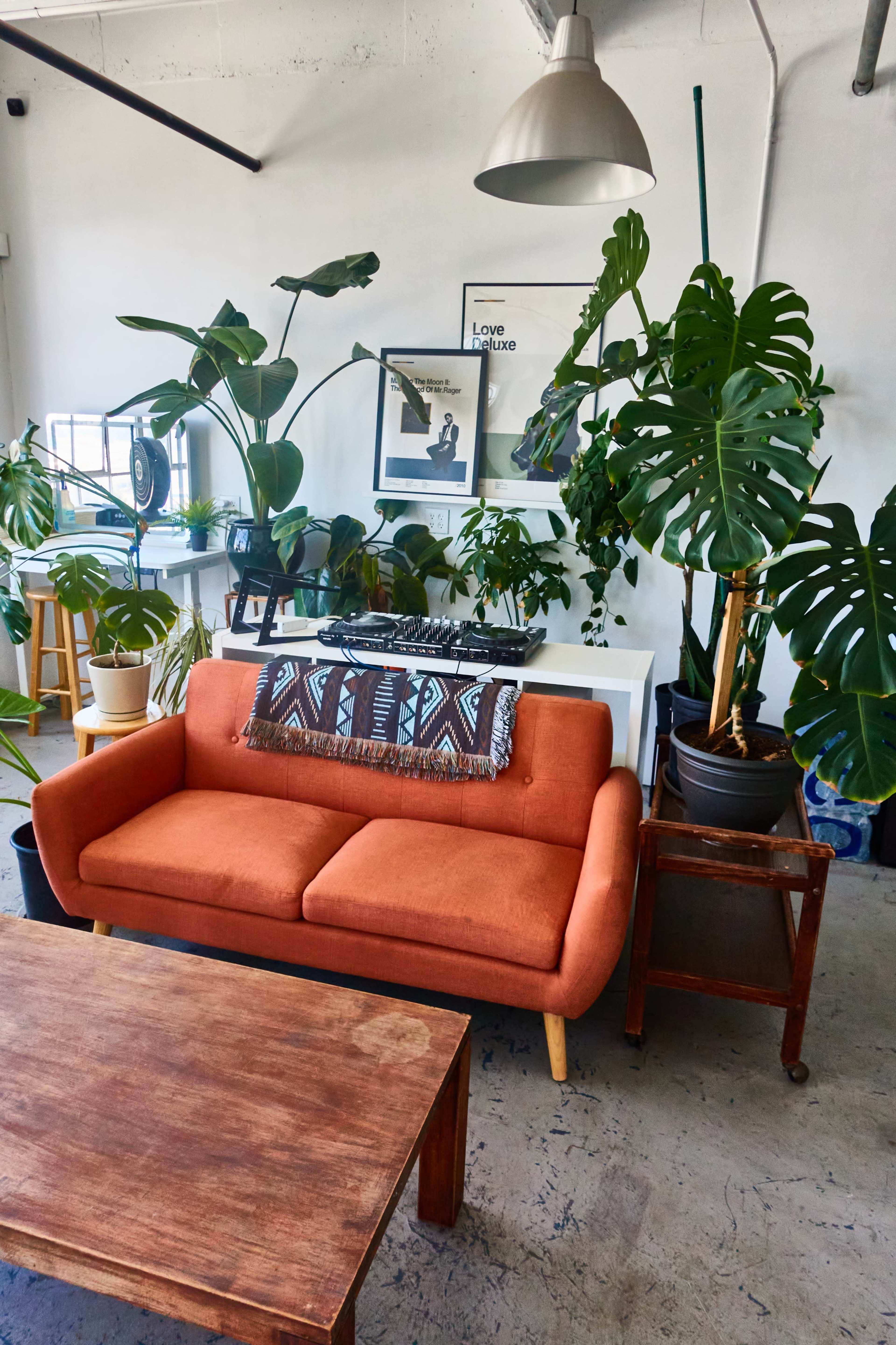 A bright room features an orange sofa with a patterned throw, surrounded by various plants and a wooden coffee table.
