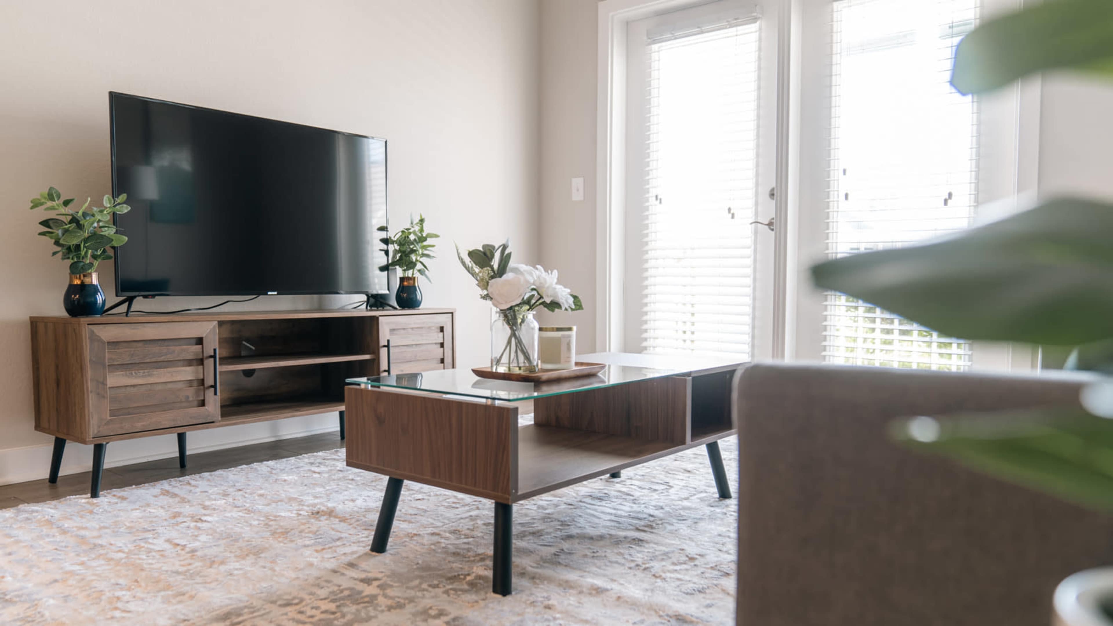 The living room features a modern television on a wooden stand, a glass-topped coffee table, and potted plants, with natural light streaming through the window.