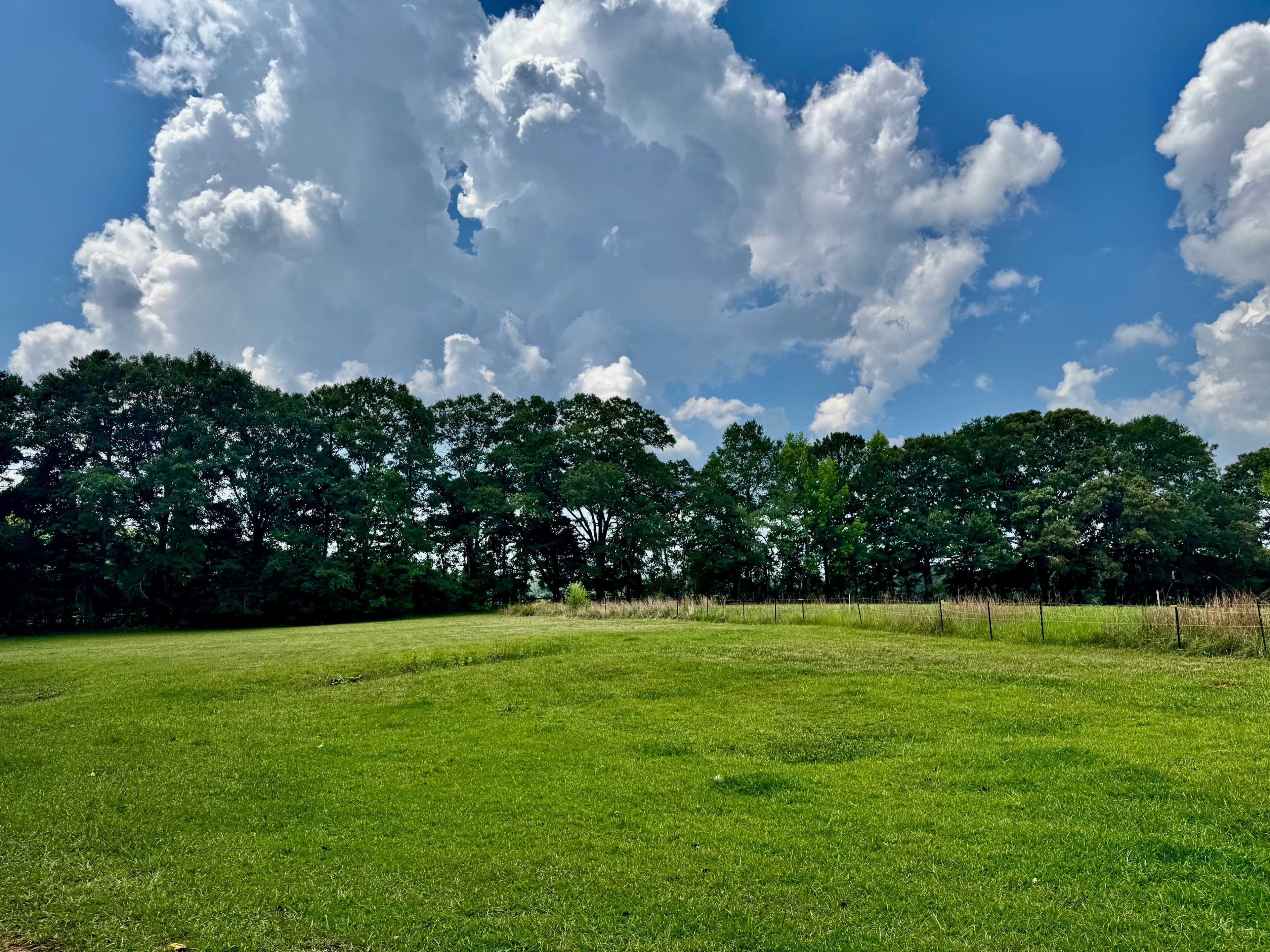 A green field is bordered by a dense line of trees under a partly cloudy blue sky.