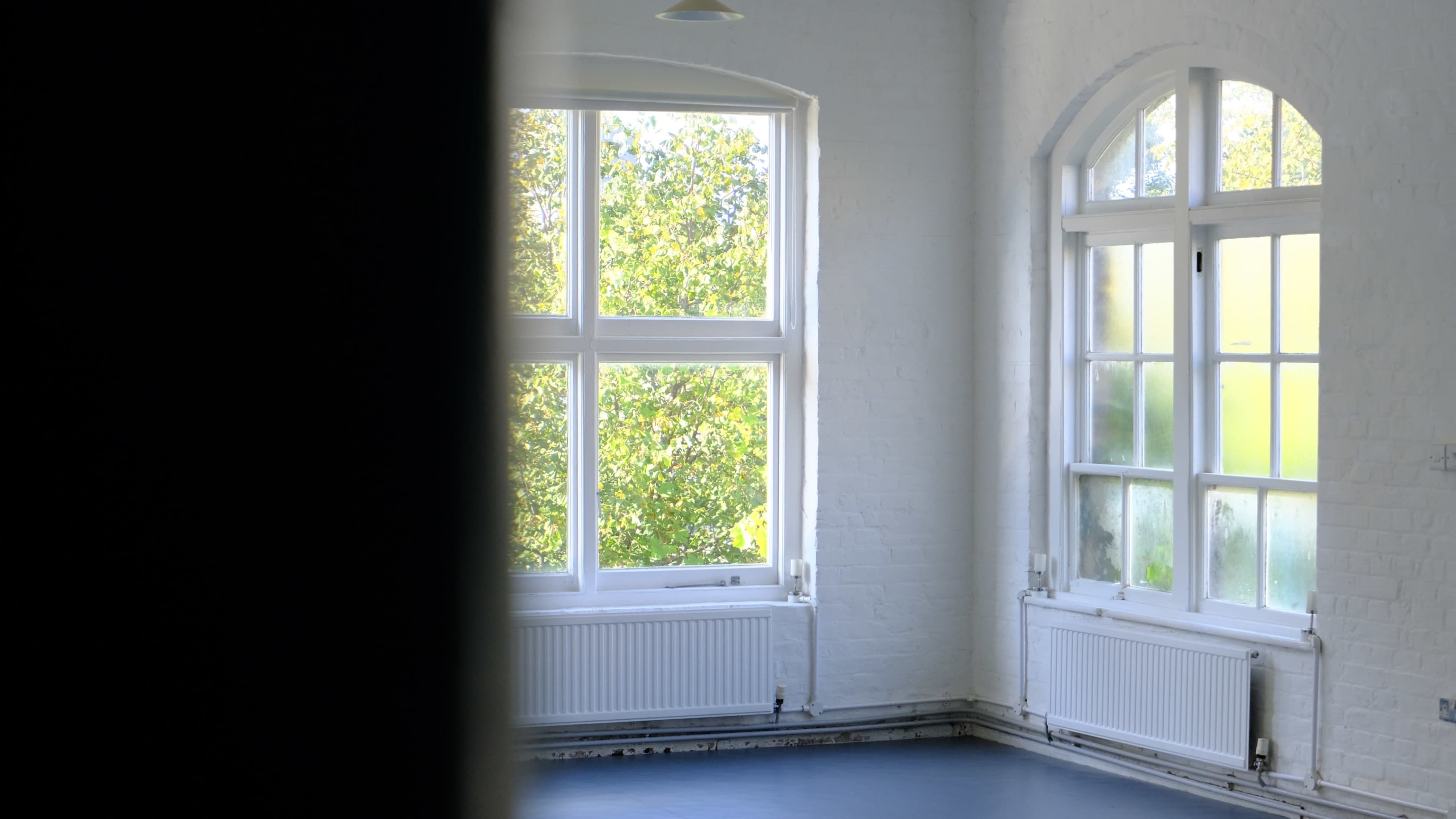 A sunlit room features large windows with white frames, allowing views of green trees outside.