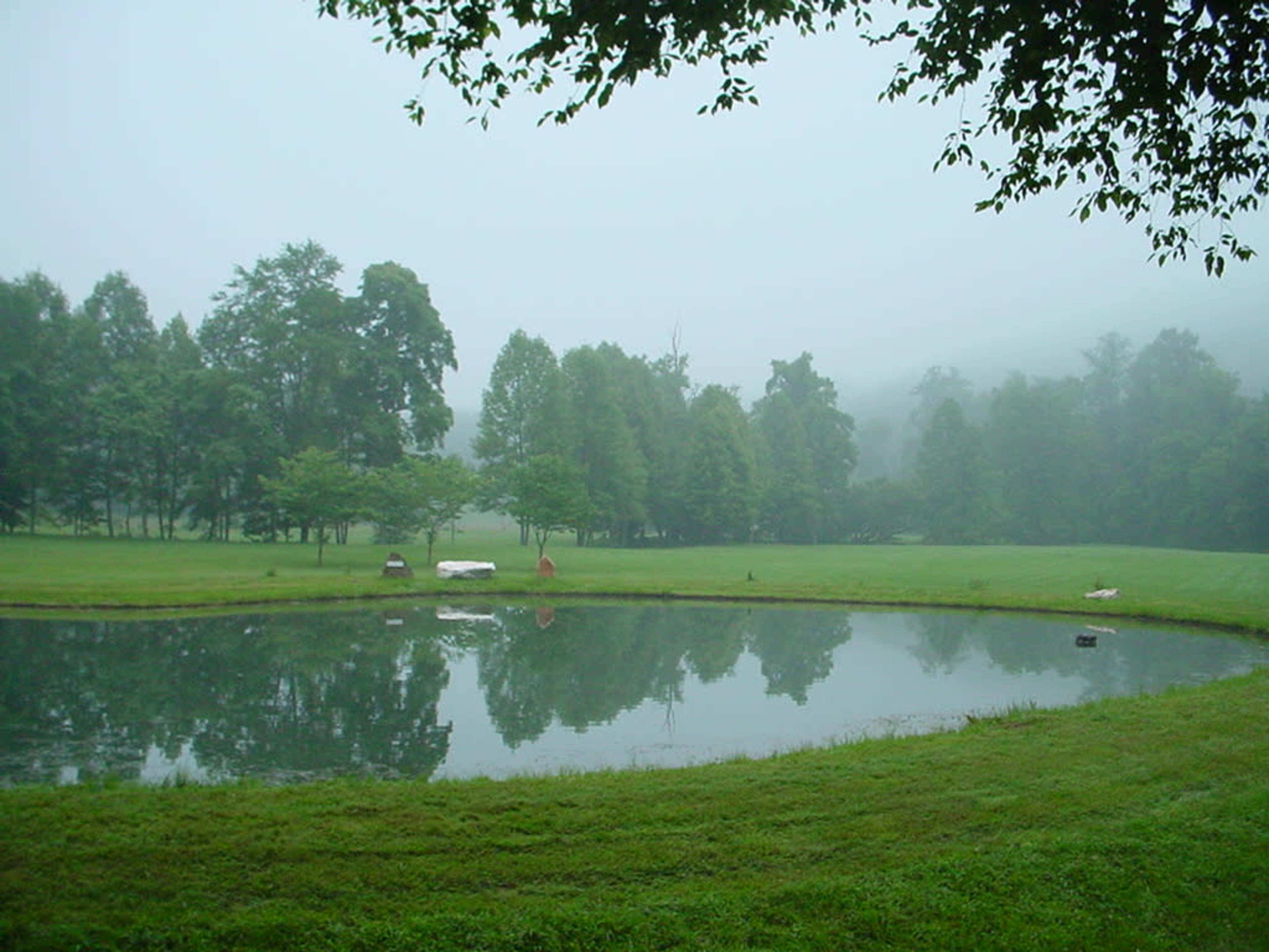 Creekside Pasture with Pond Surrounded by Mountains Image in , Cherry Log, GA