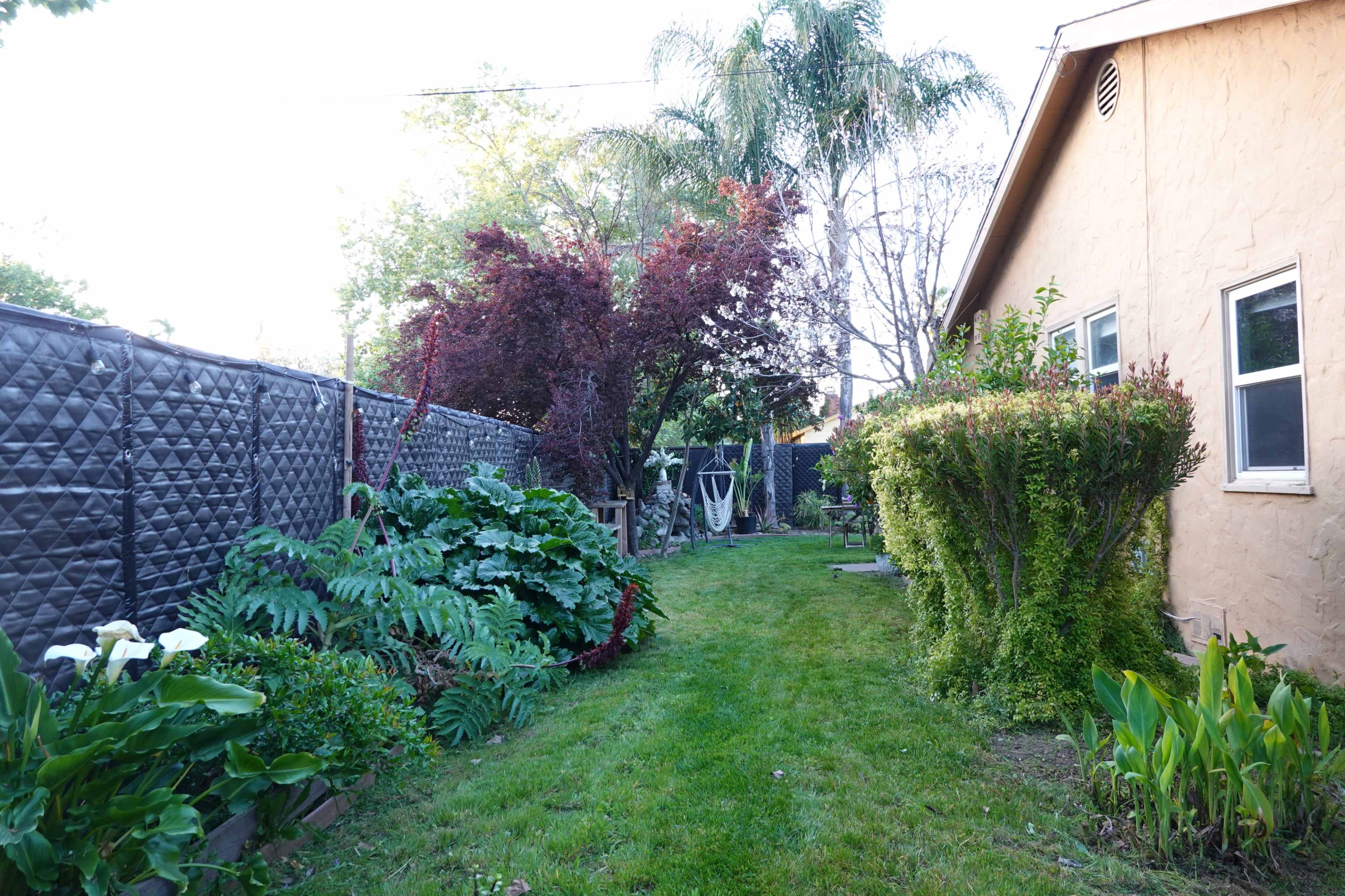 The image shows a narrow backyard garden with green grass, various plants, and a wall covered in dark fencing beside a beige house.