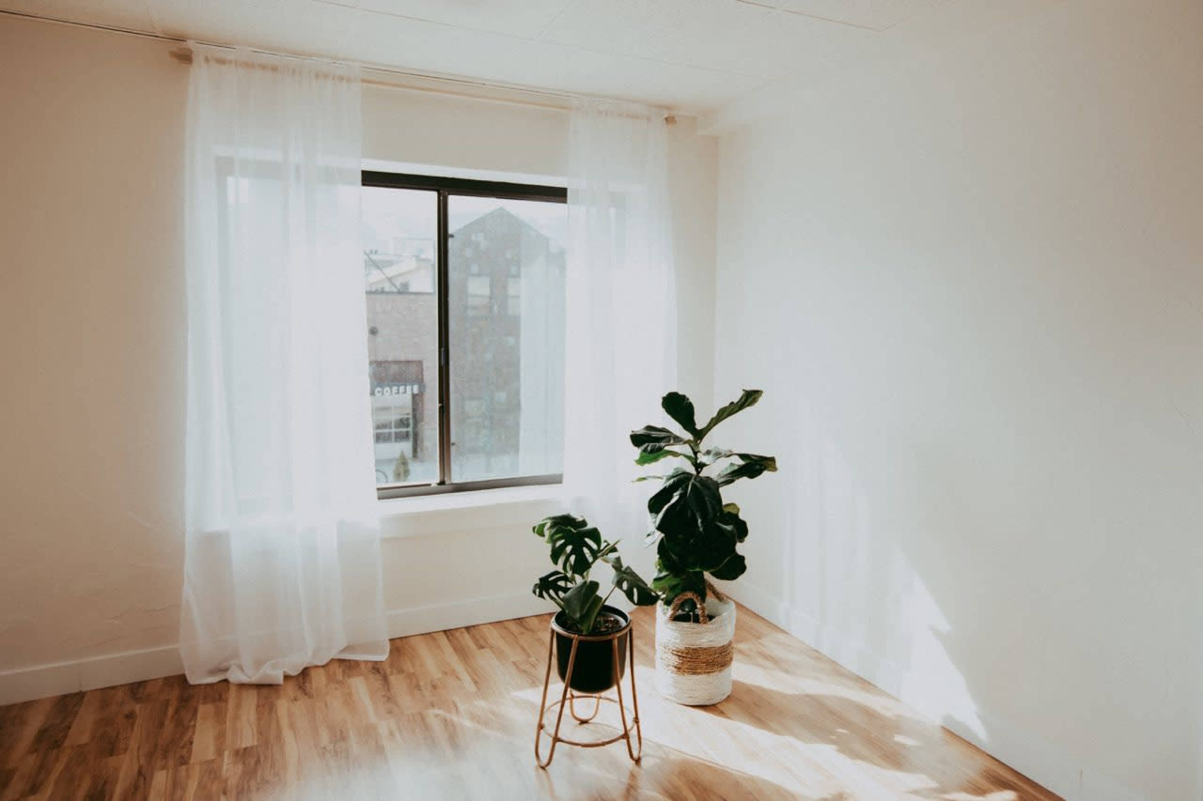 A bright room features a window with sheer curtains and two potted plants on the floor.
