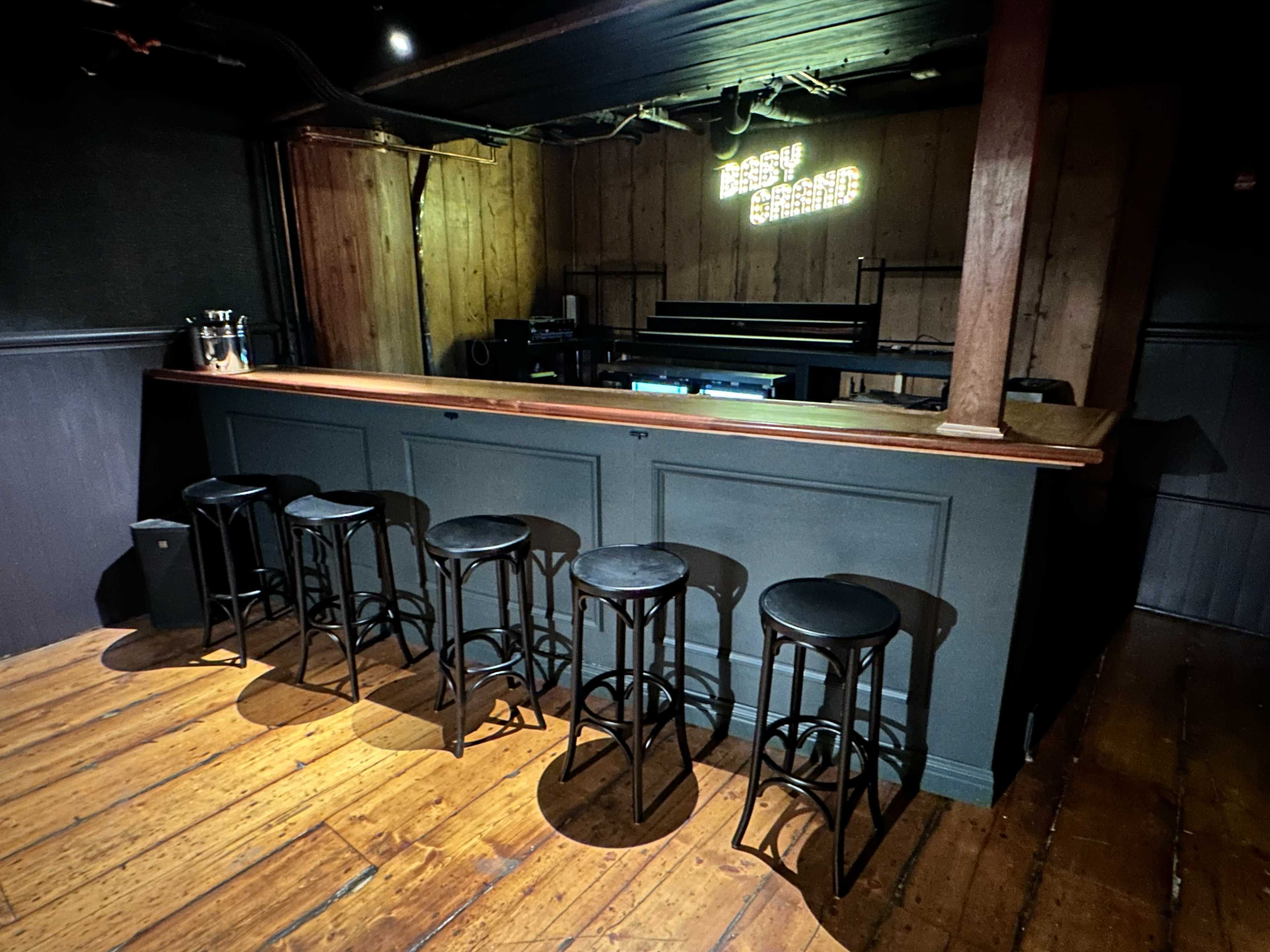Gorgeous Event Venue and Karaoke Bar Image in Lower East Side, New York, NY