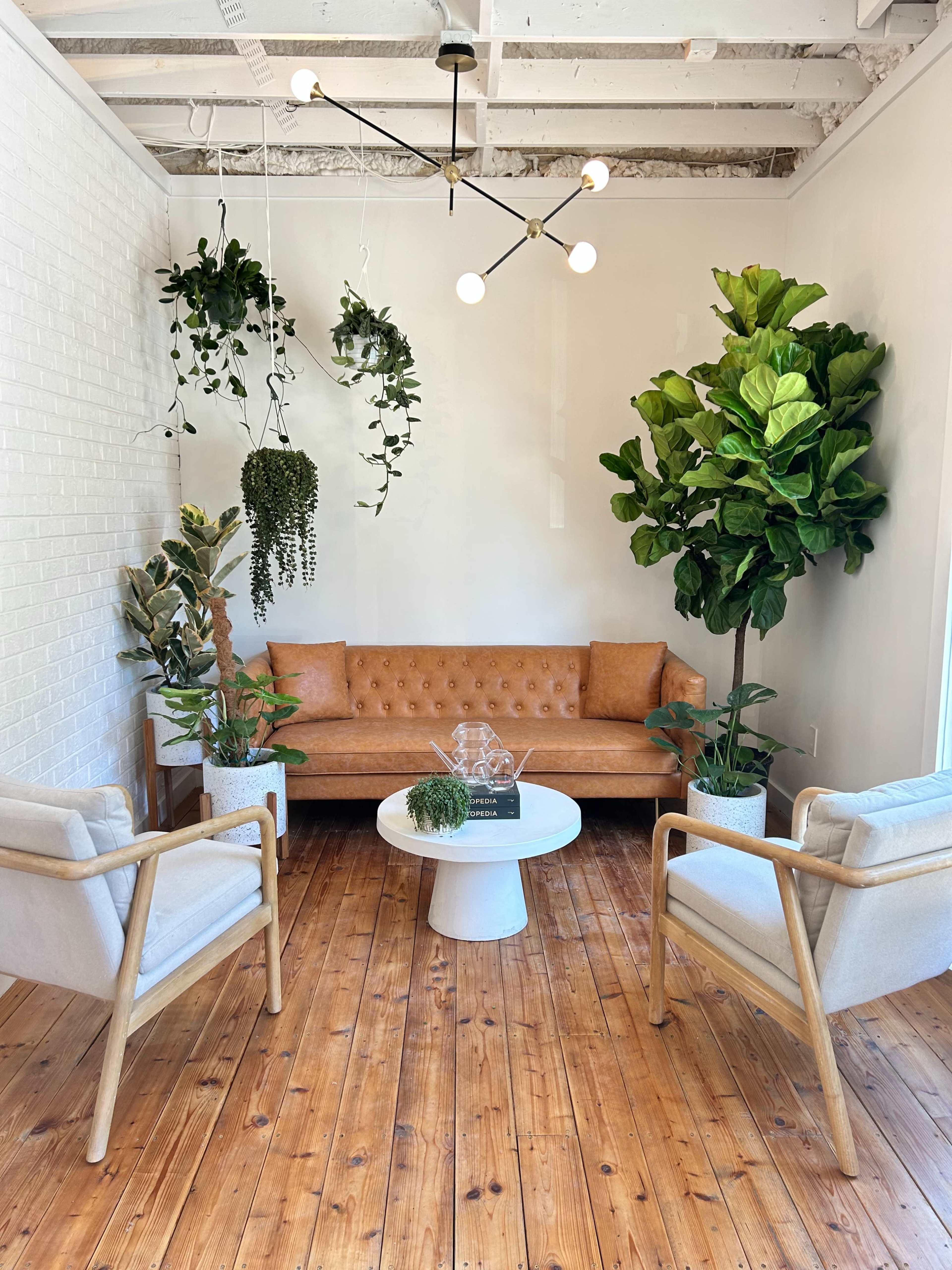 Plant Bar Image in Murray Hill, Jacksonville, FL